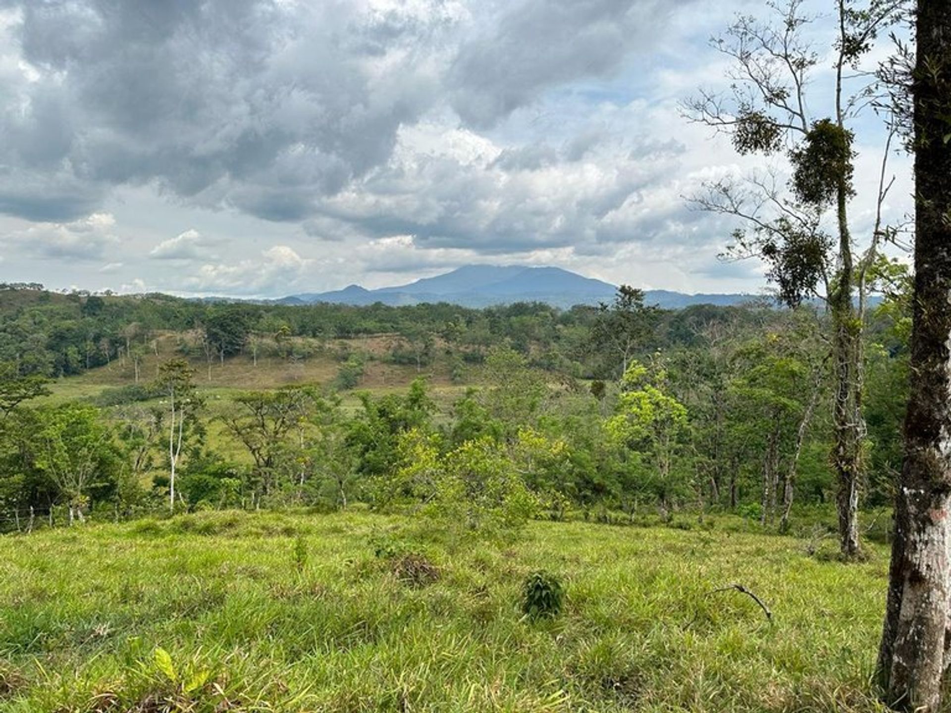 Condominio en cañas, Guanacaste 12119362