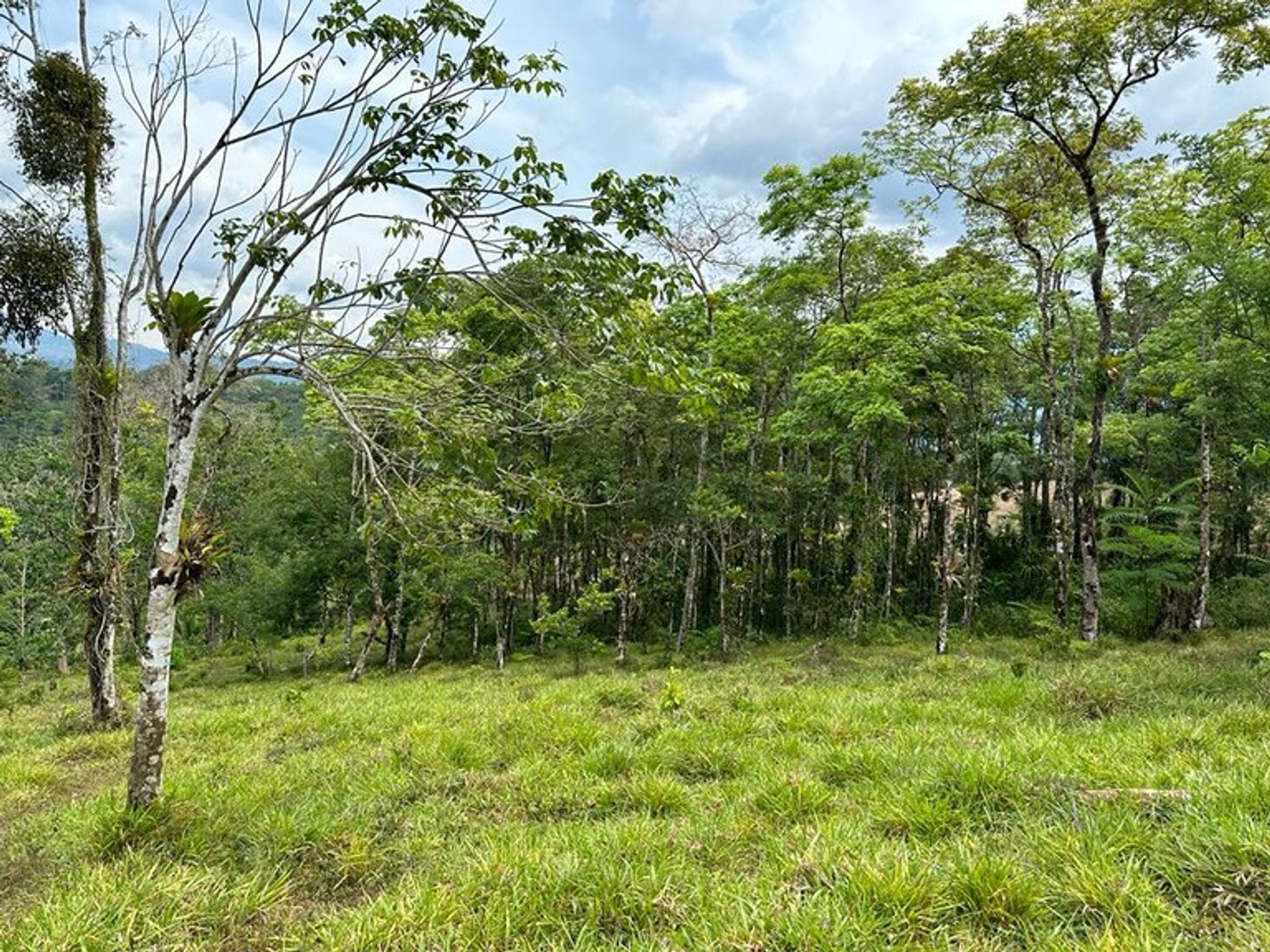 Osakehuoneisto sisään Cañas, Guanacaste 12119362