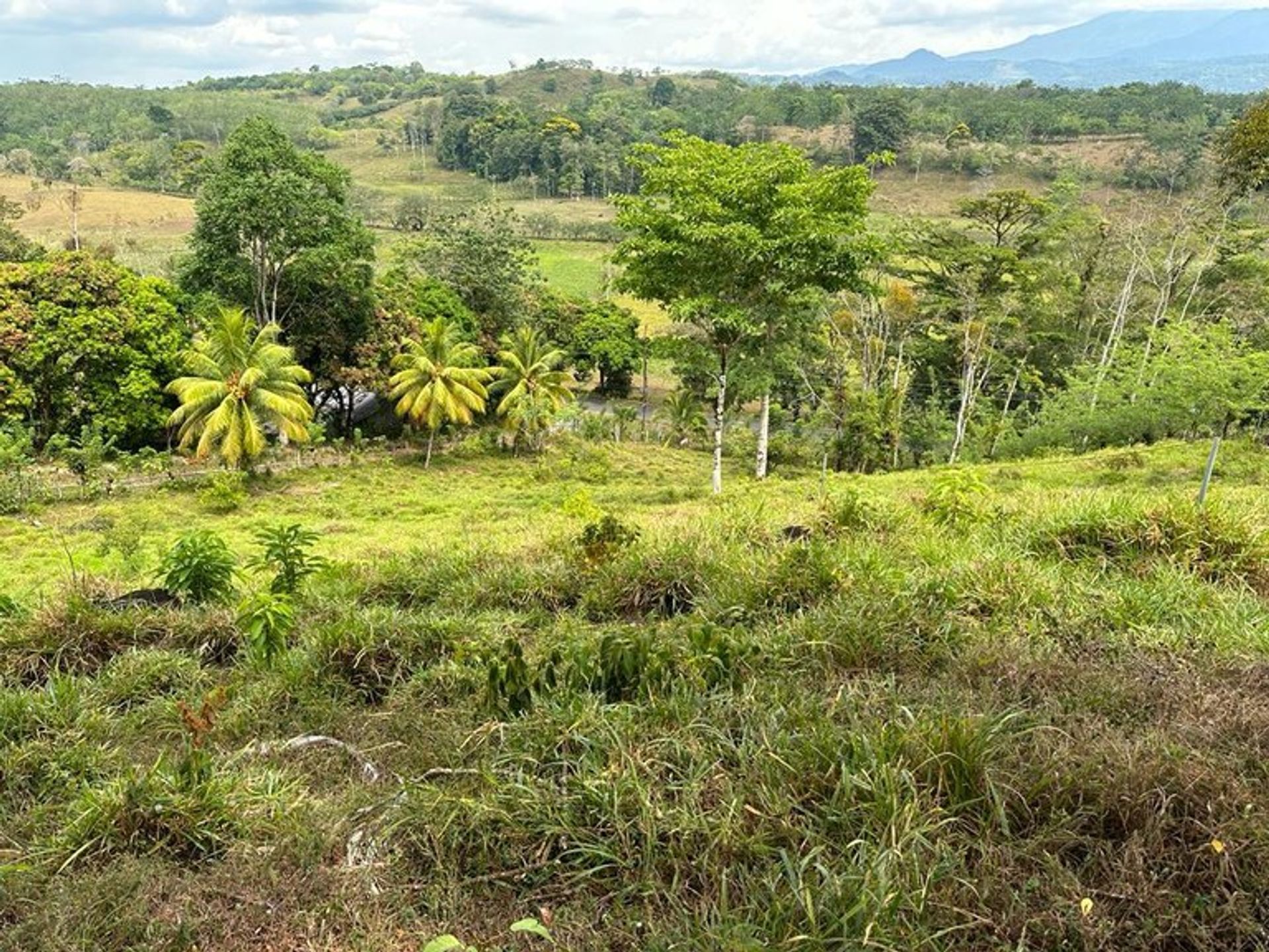 सम्मिलित में Bijagua de Upala, Alajuela Province 12119362