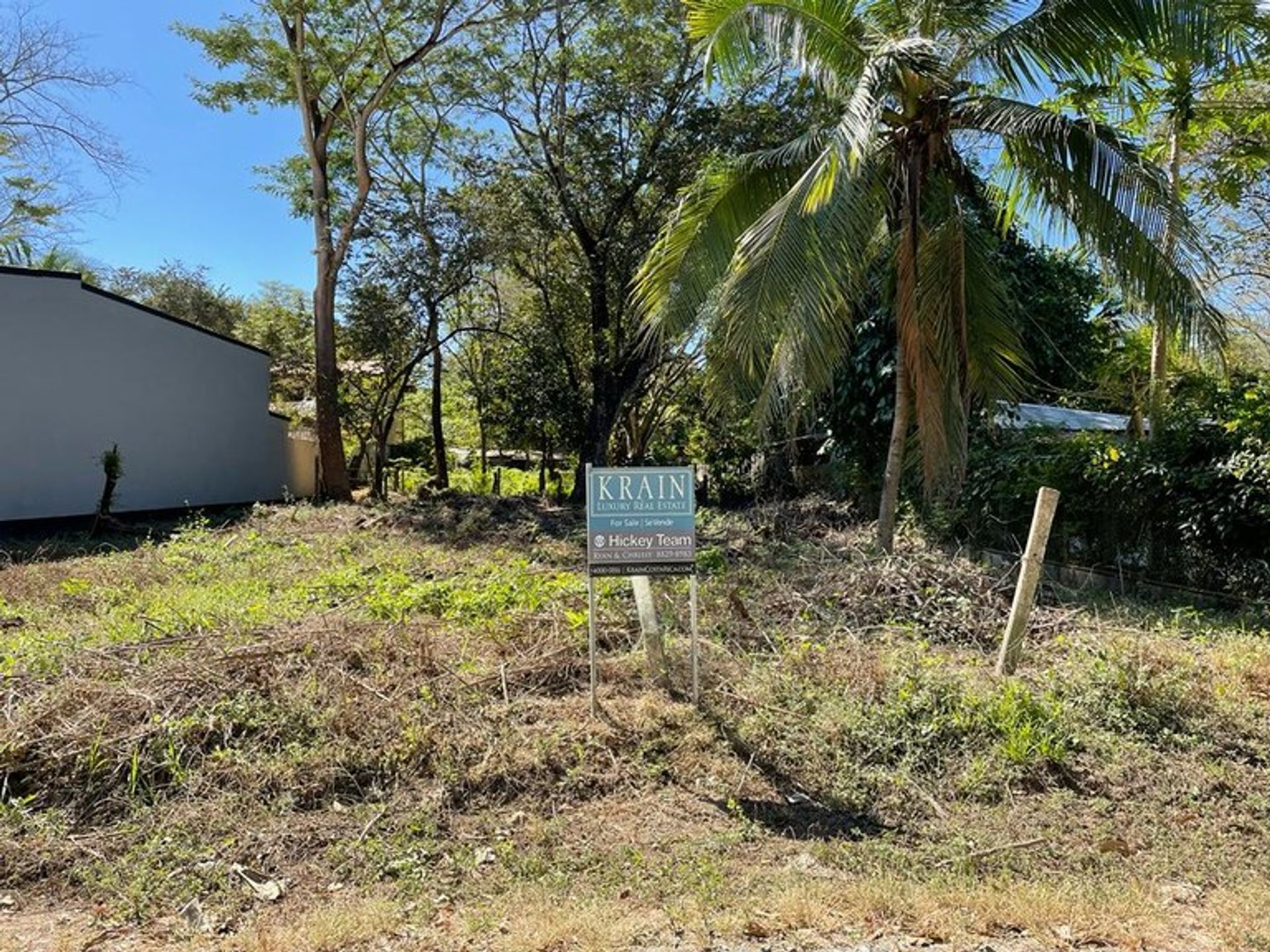 Borettslag i Ángeles, Guanacaste 12119364