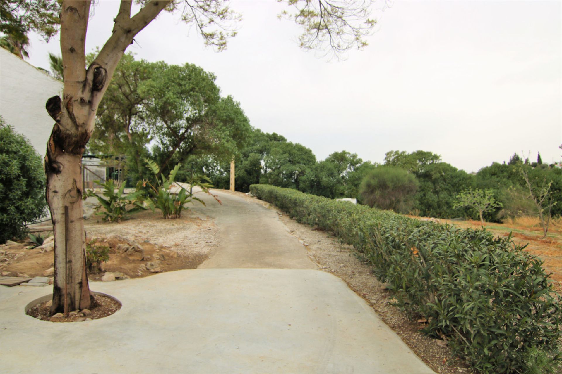 House in Cártama, Andalusia 12119411