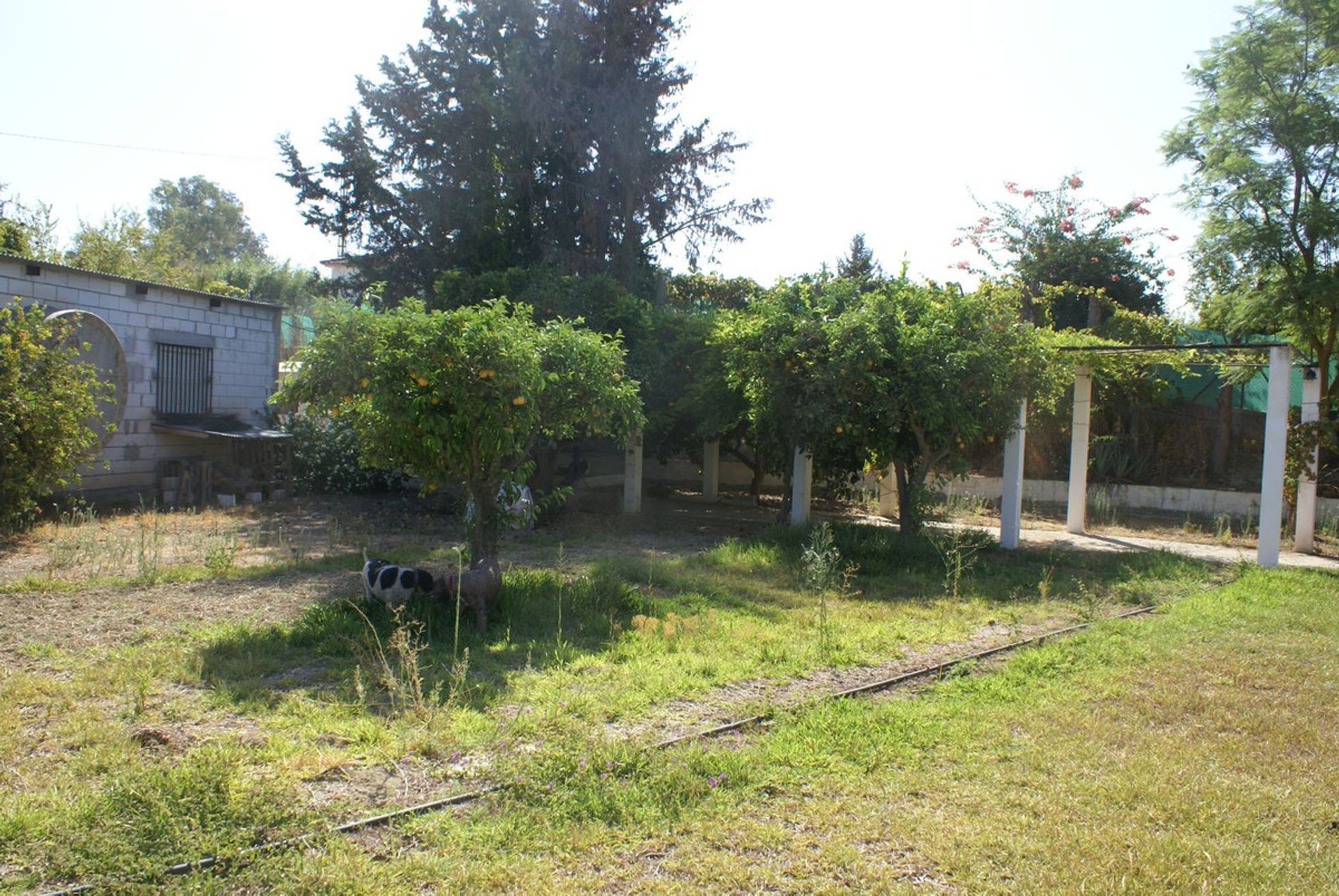 Huis in Cártama, Andalusia 12119418