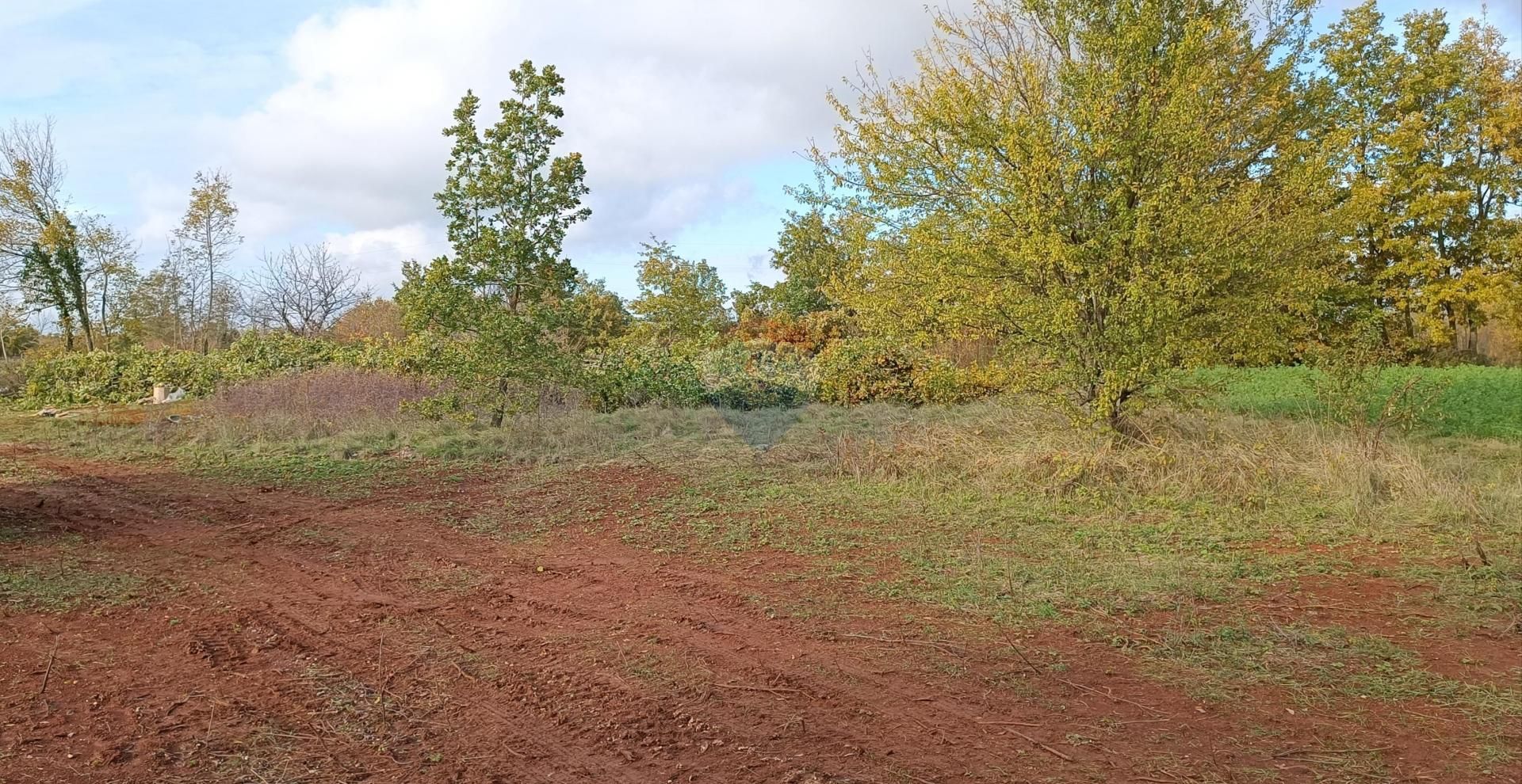 Tierra en Zminj, Istarska Županija 12121033