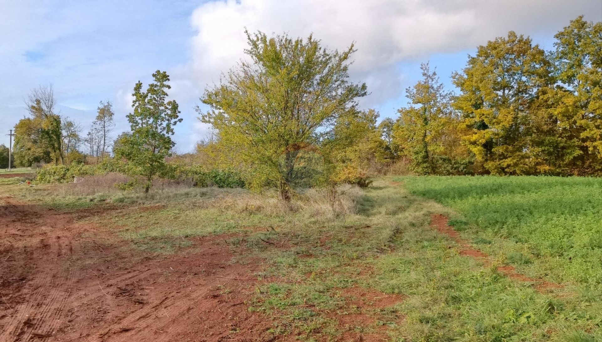 Land in Zminj, Istarska Zupanija 12121033