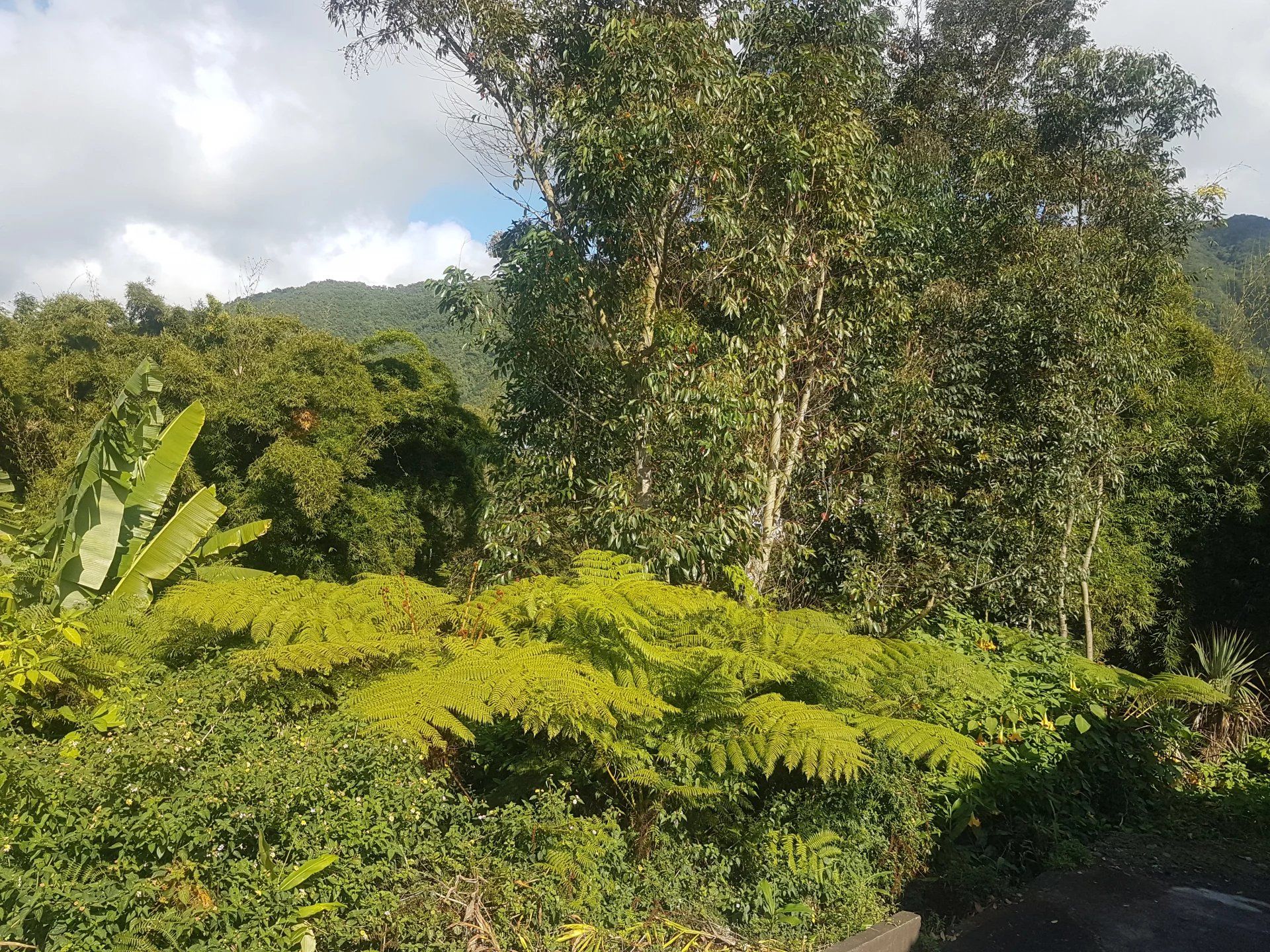 Tanah di Coteau Raffin, Sungai Hitam 12121623