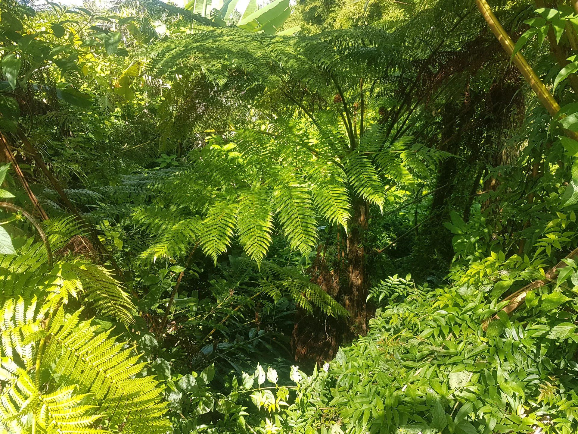 Tierra en Coteau Raffin, Río Negro 12121623