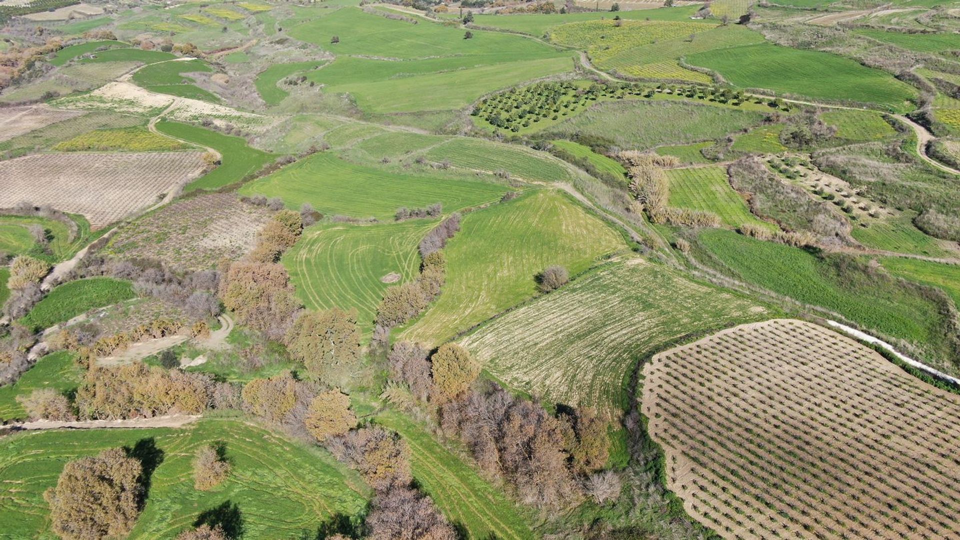 Tierra en Tala, Pafos 12122447