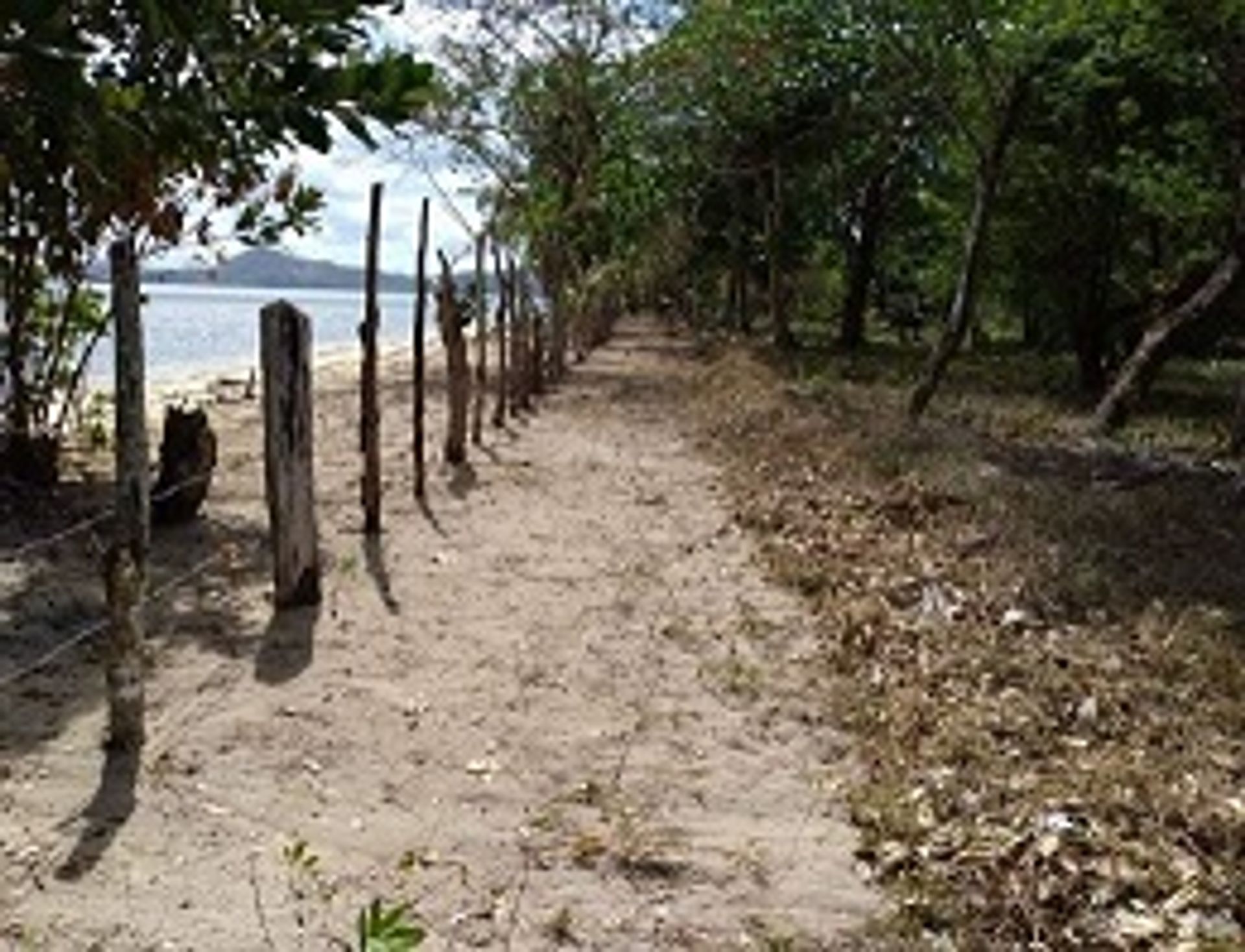 Tanah di Busuanga, Palawan 12122454