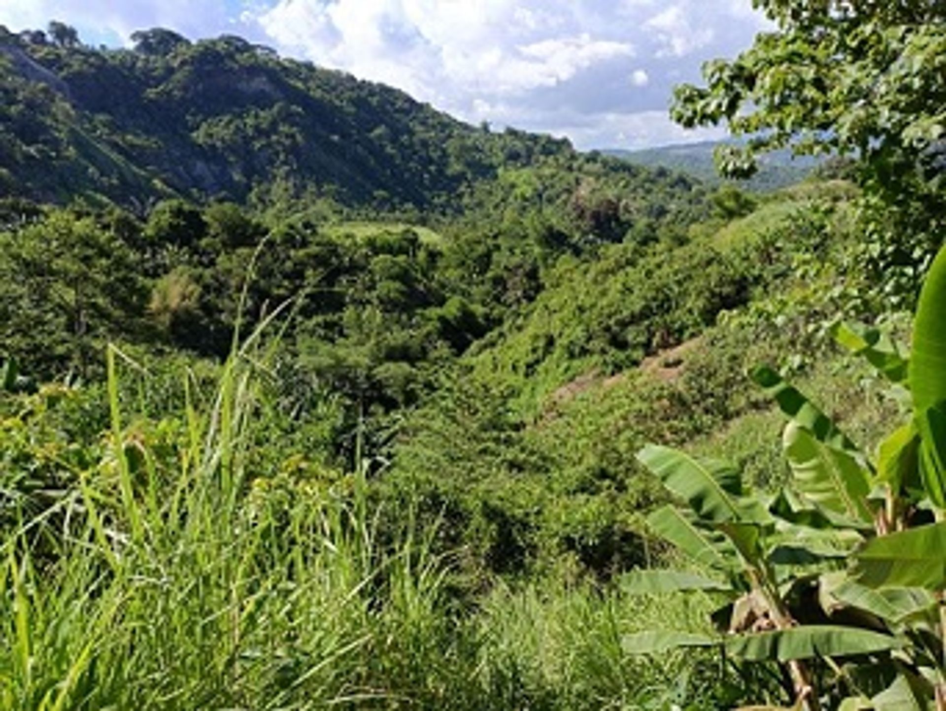 土地 在 Antipolo, Calabarzon 12122934