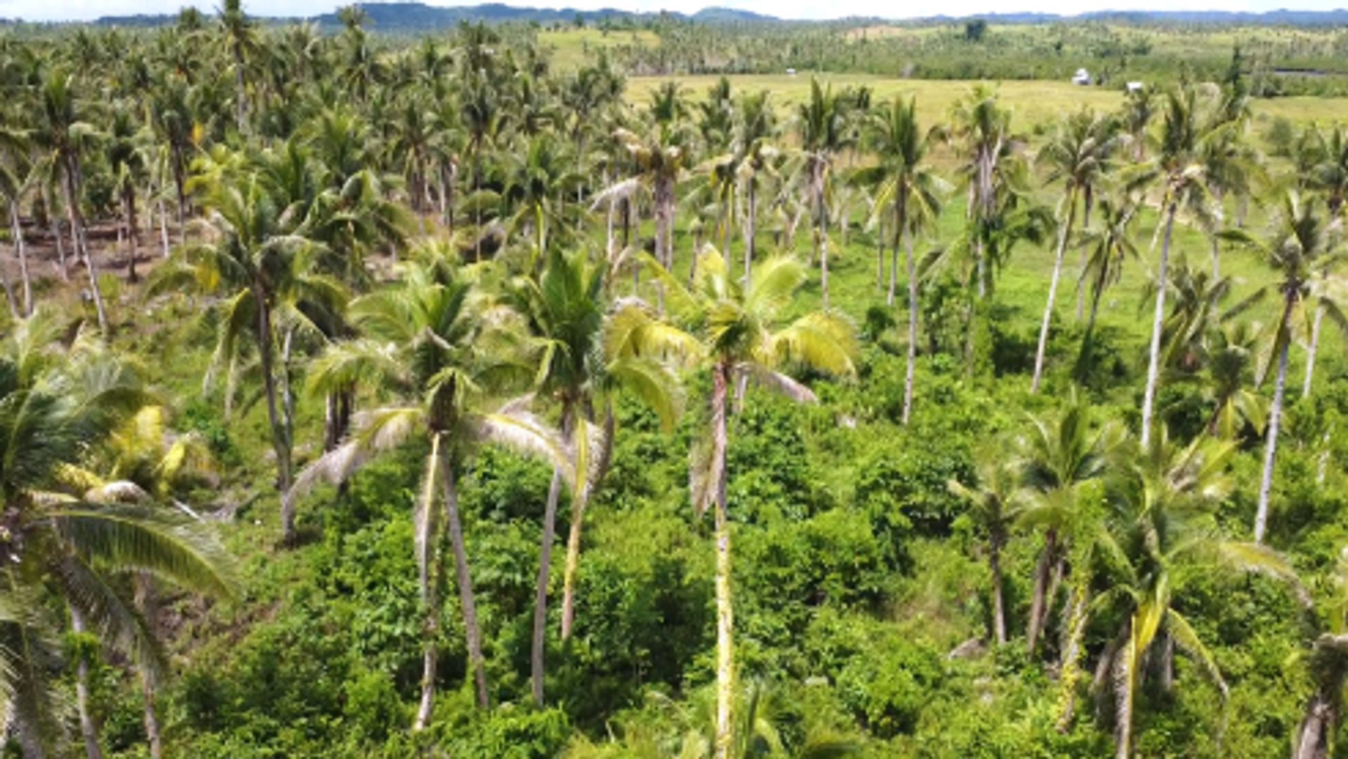 Sbarcare nel General Luna, Surigao del Norte 12123042