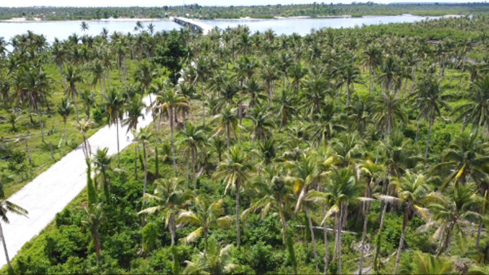 Tanah dalam General Luna, Surigao del Norte 12123042