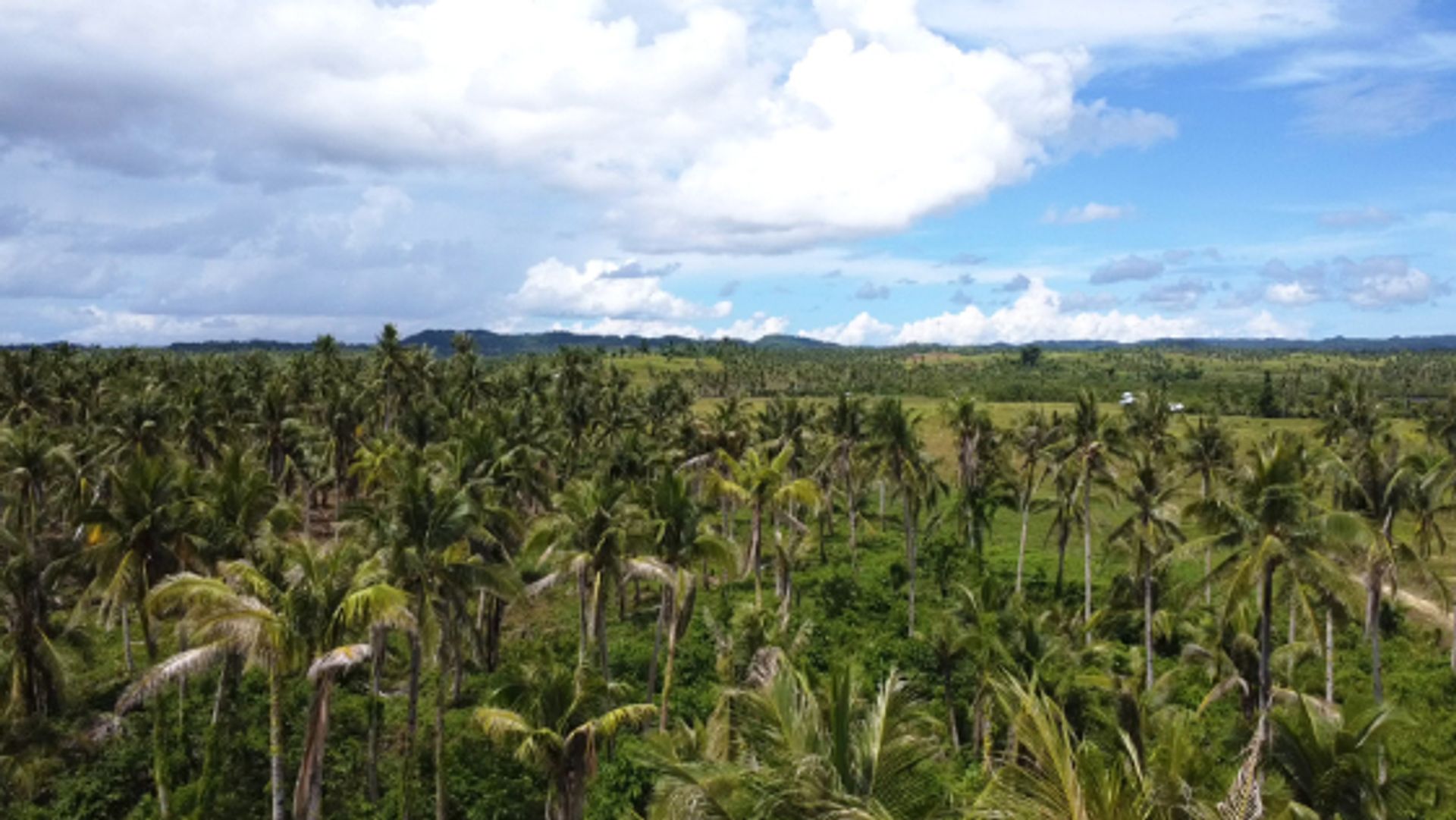 الأرض في General Luna, Surigao del Norte 12123042