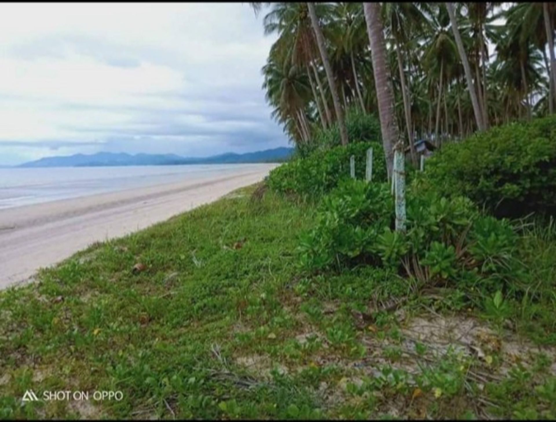 Tierra en San Vicente, Palawan 12123223