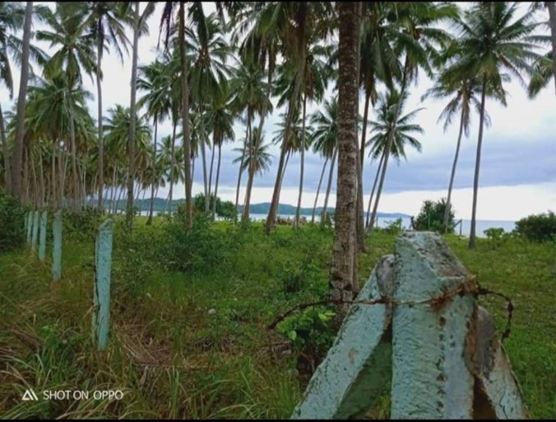 Tanah dalam San Vicente, Palawan 12123223