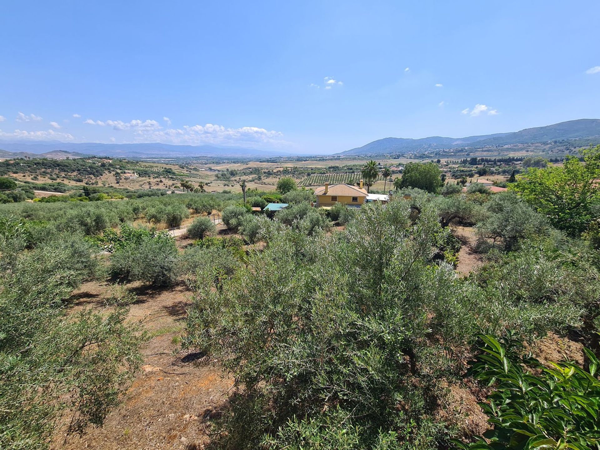 casa en Alhaurín de la Torre, Andalusia 12125246