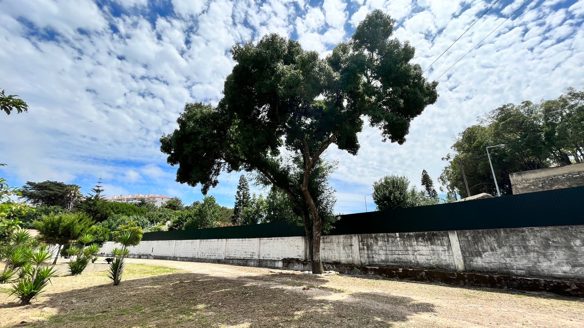 Hus i São Domingos de Rana, 317 Calçada 1º de Dezembro 12130510