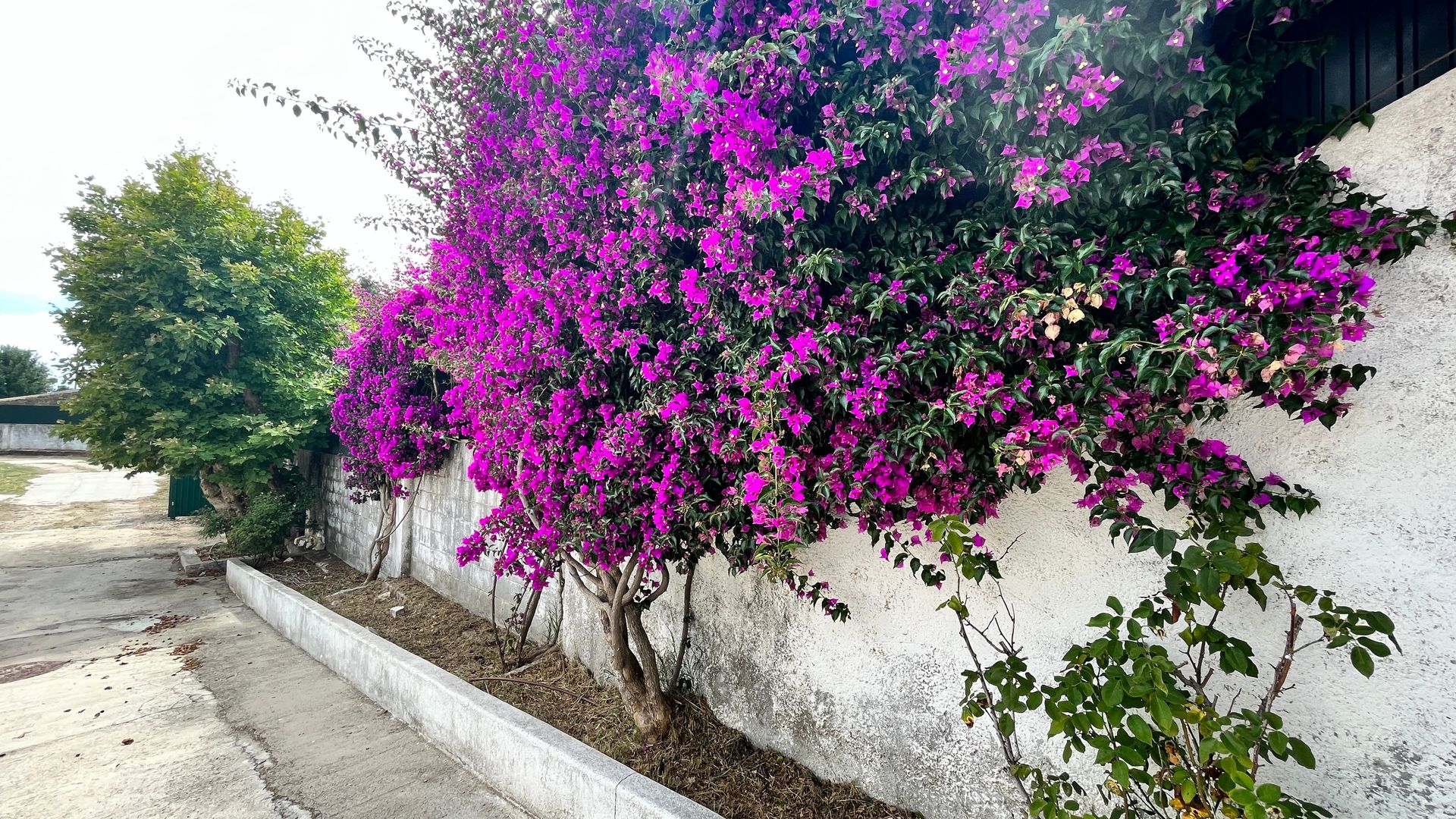 Haus im São Domingos de Rana, 317 Calçada 1º de Dezembro 12130510