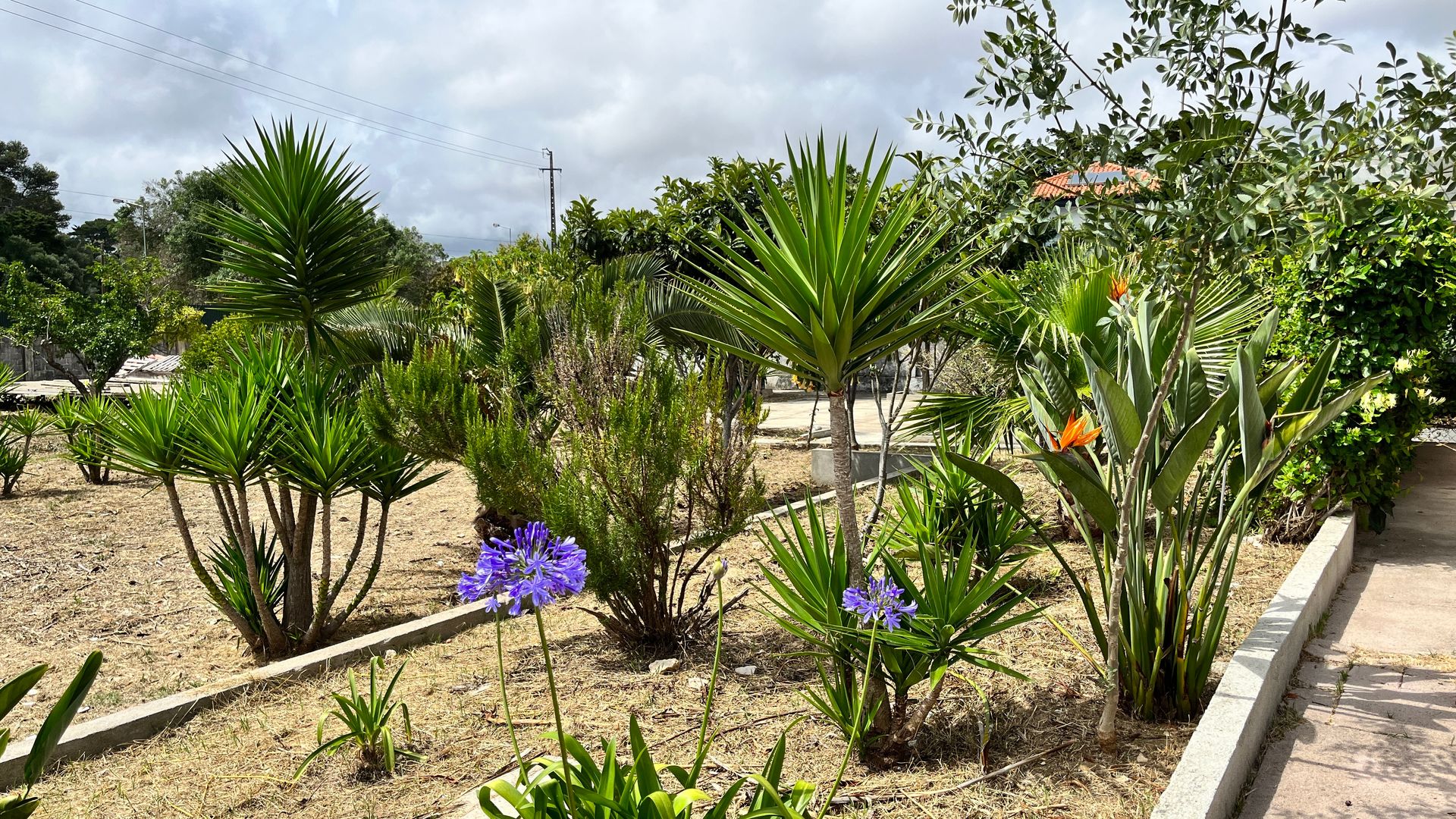 Haus im São Domingos de Rana, 317 Calçada 1º de Dezembro 12130510