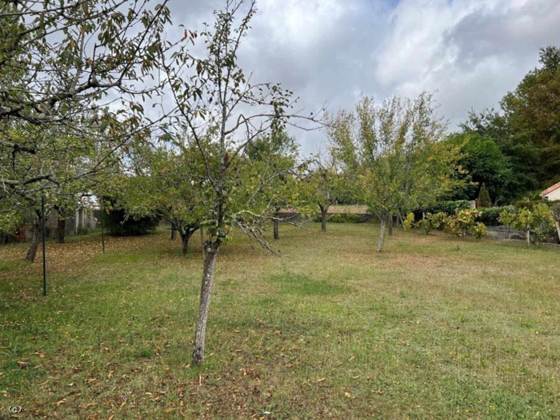 House in Champagne-Mouton, Nouvelle-Aquitaine 12131825