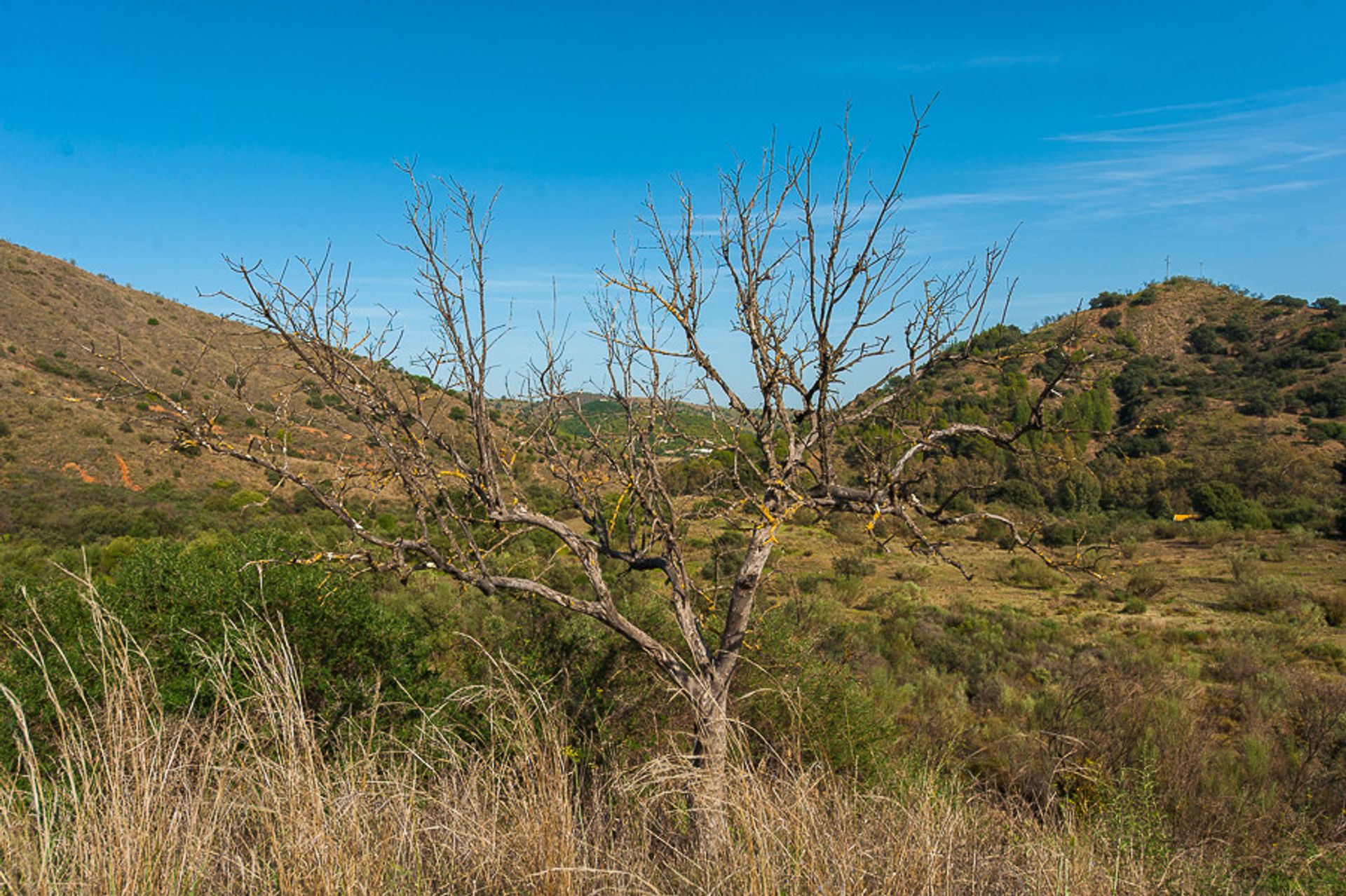 Land im Coín, Andalusia 12132191