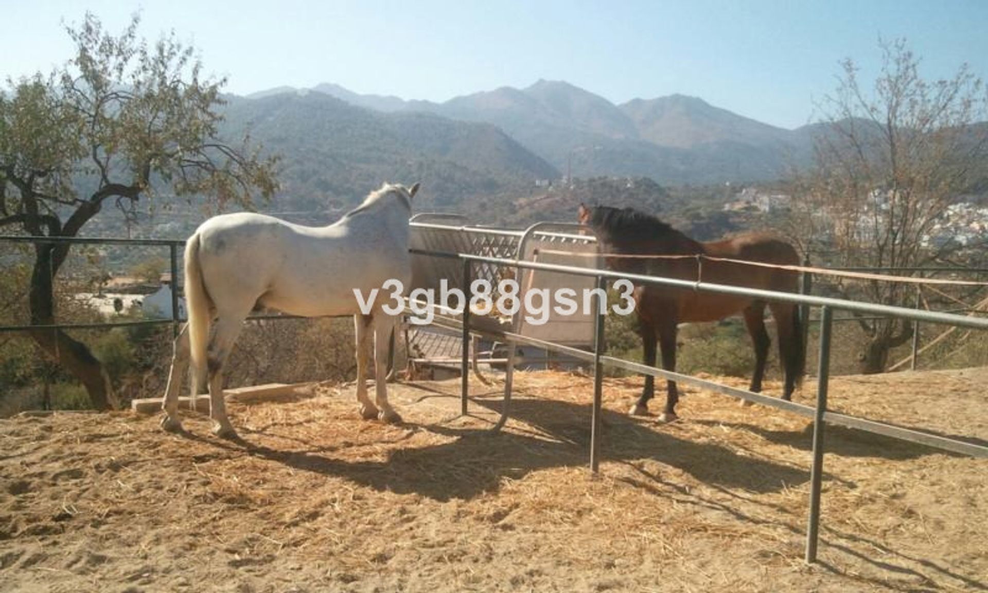 rumah dalam Alhaurín el Grande, Andalusia 12132249