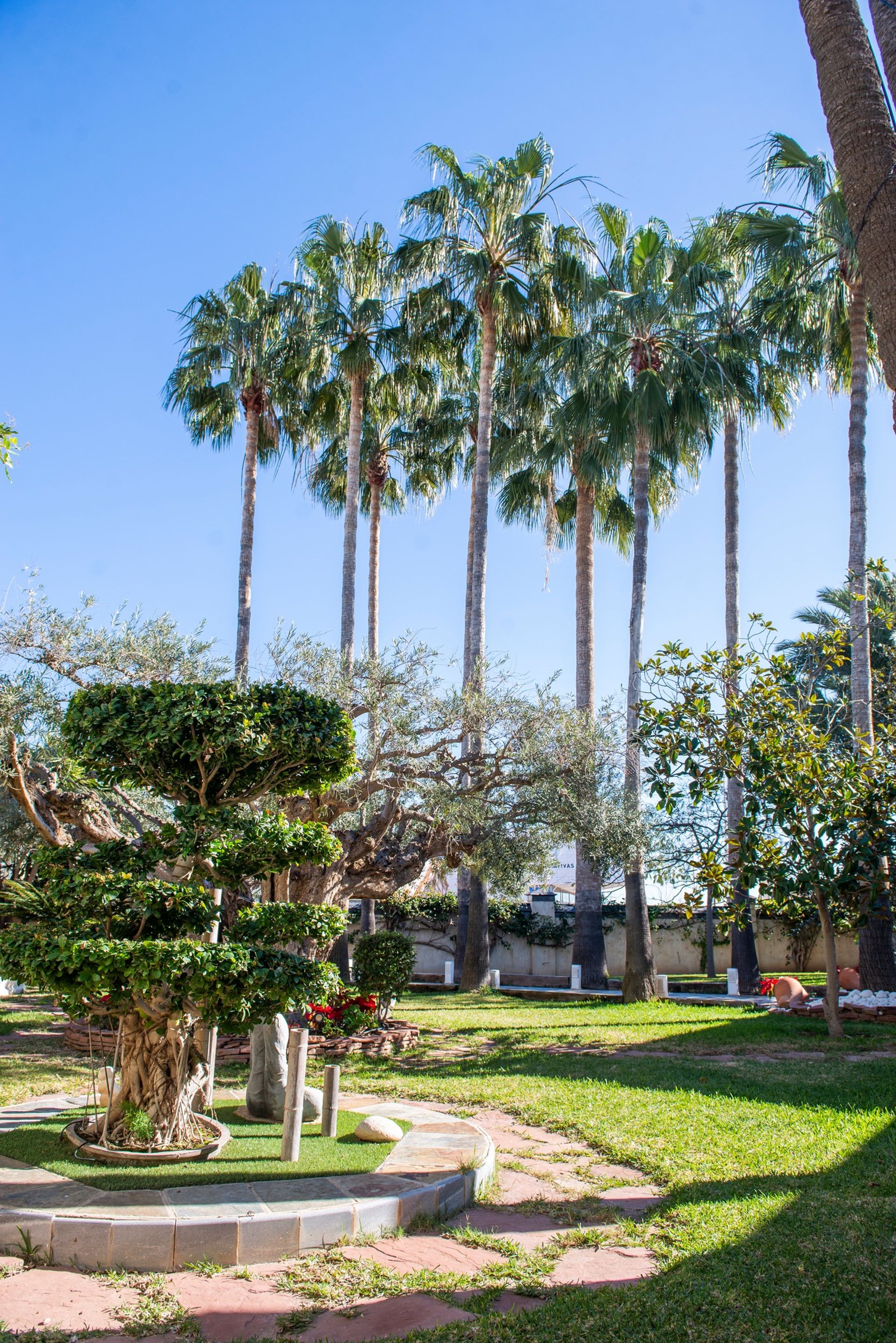 rumah dalam San Pedro del Pinatar, Región de Murcia 12132867