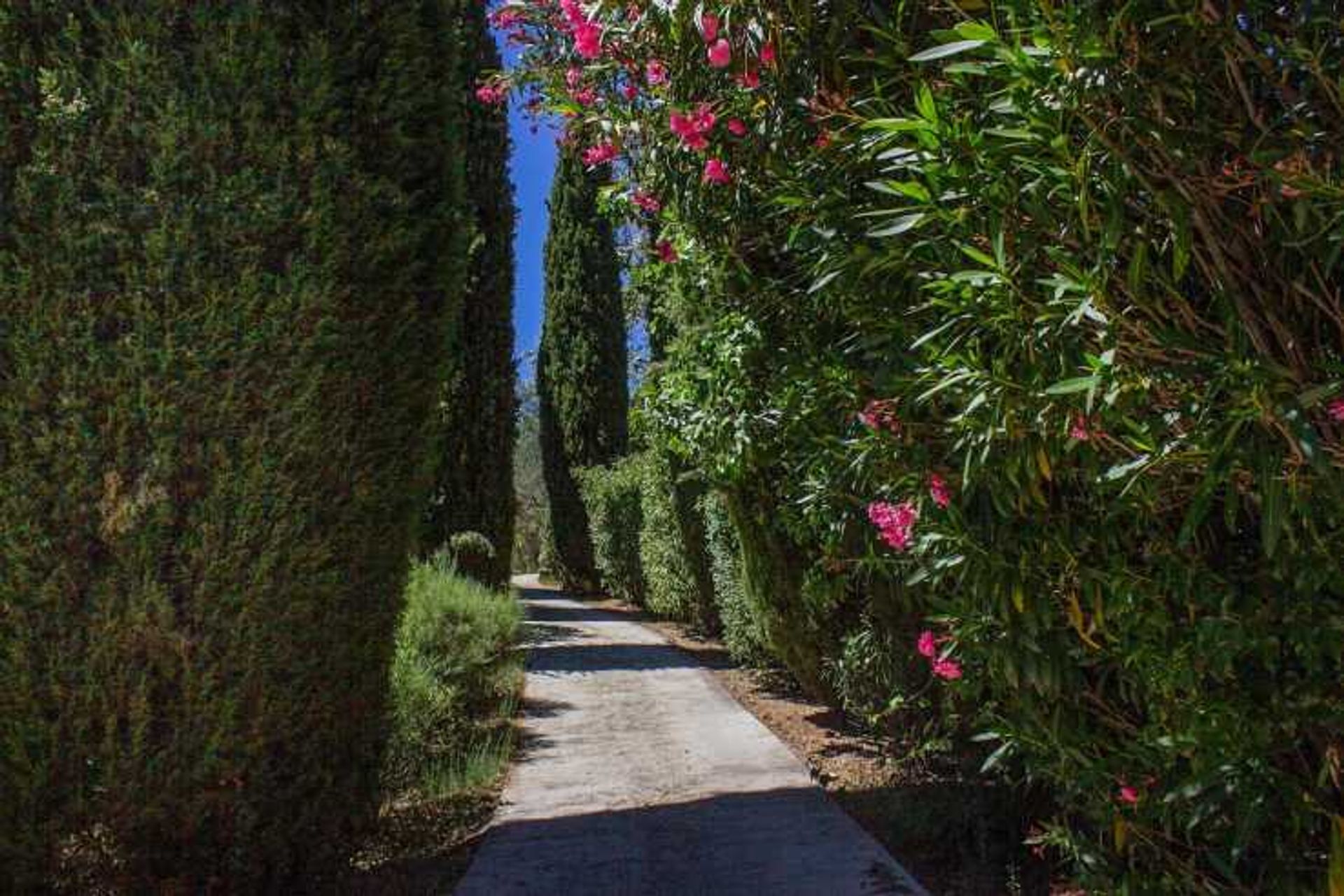 rumah dalam Seillans, Provence-Alpes-Côte d'Azur 12132938