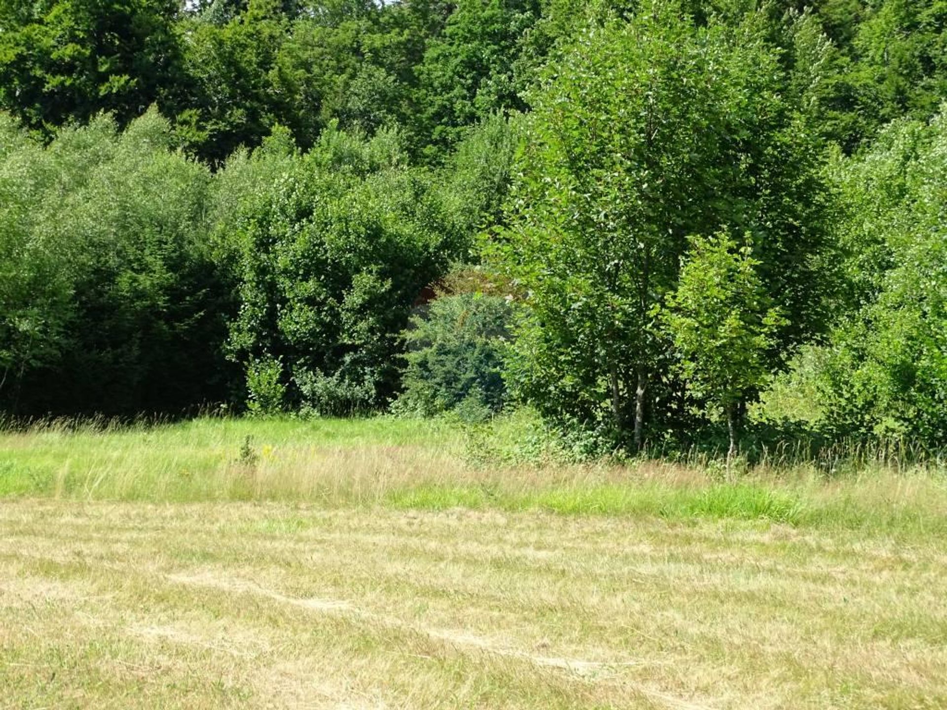 Terre dans Fužine, Primorsko-goranska županija 12135210