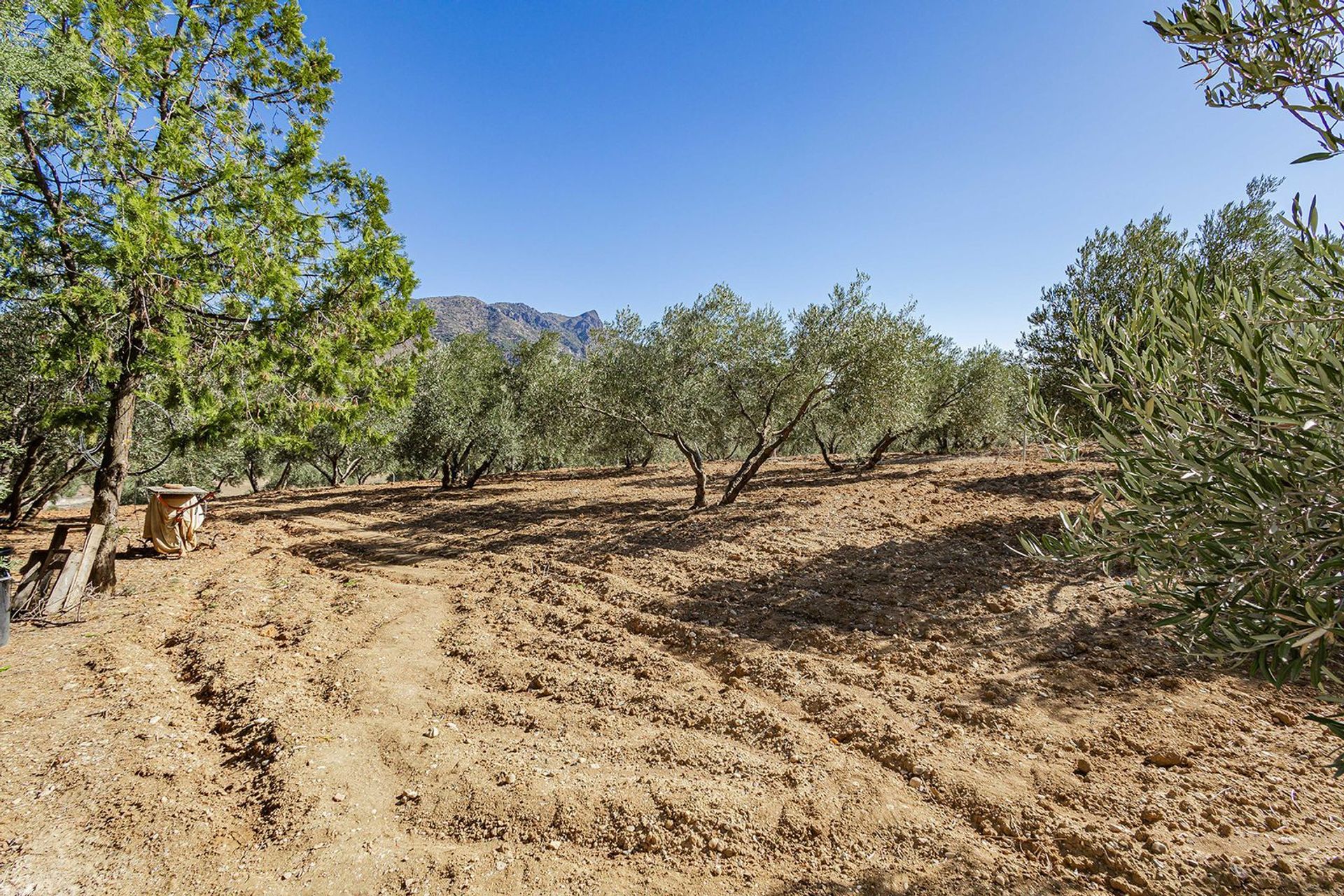 σπίτι σε Ardales, Andalucía 12136244