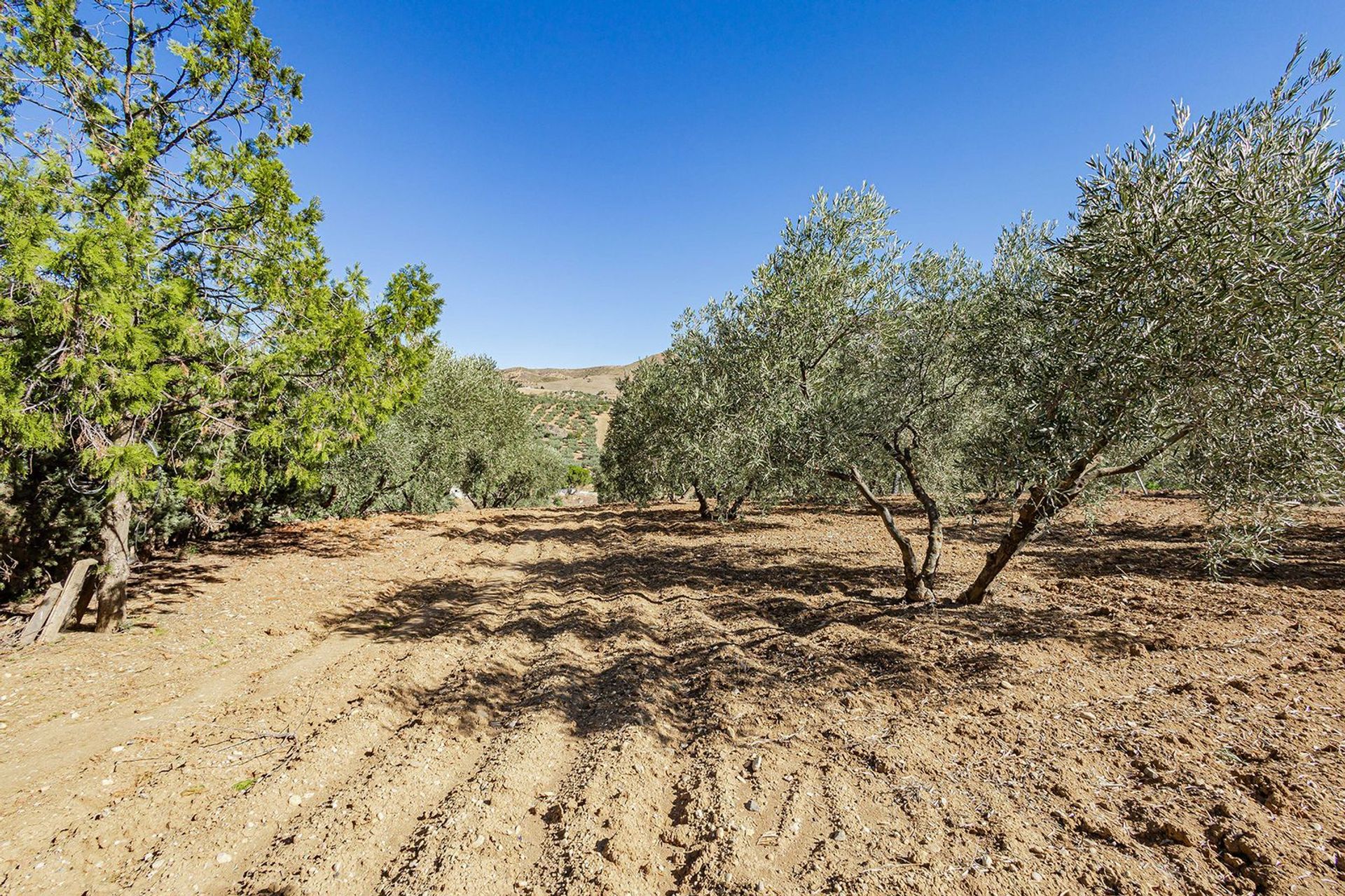 жилой дом в Ardales, Andalucía 12136244