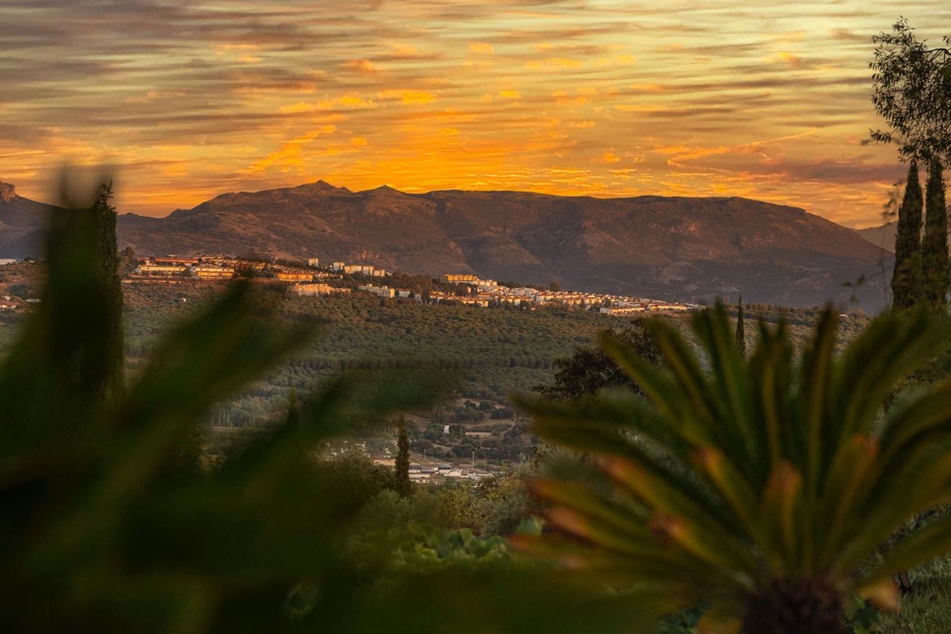 σπίτι σε Ronda, Andalucía 12136245