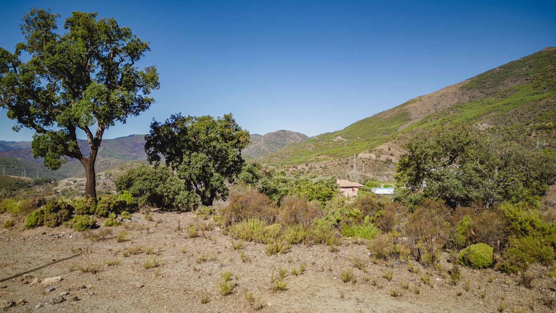 Land im Benahavís, Andalucía 12136538