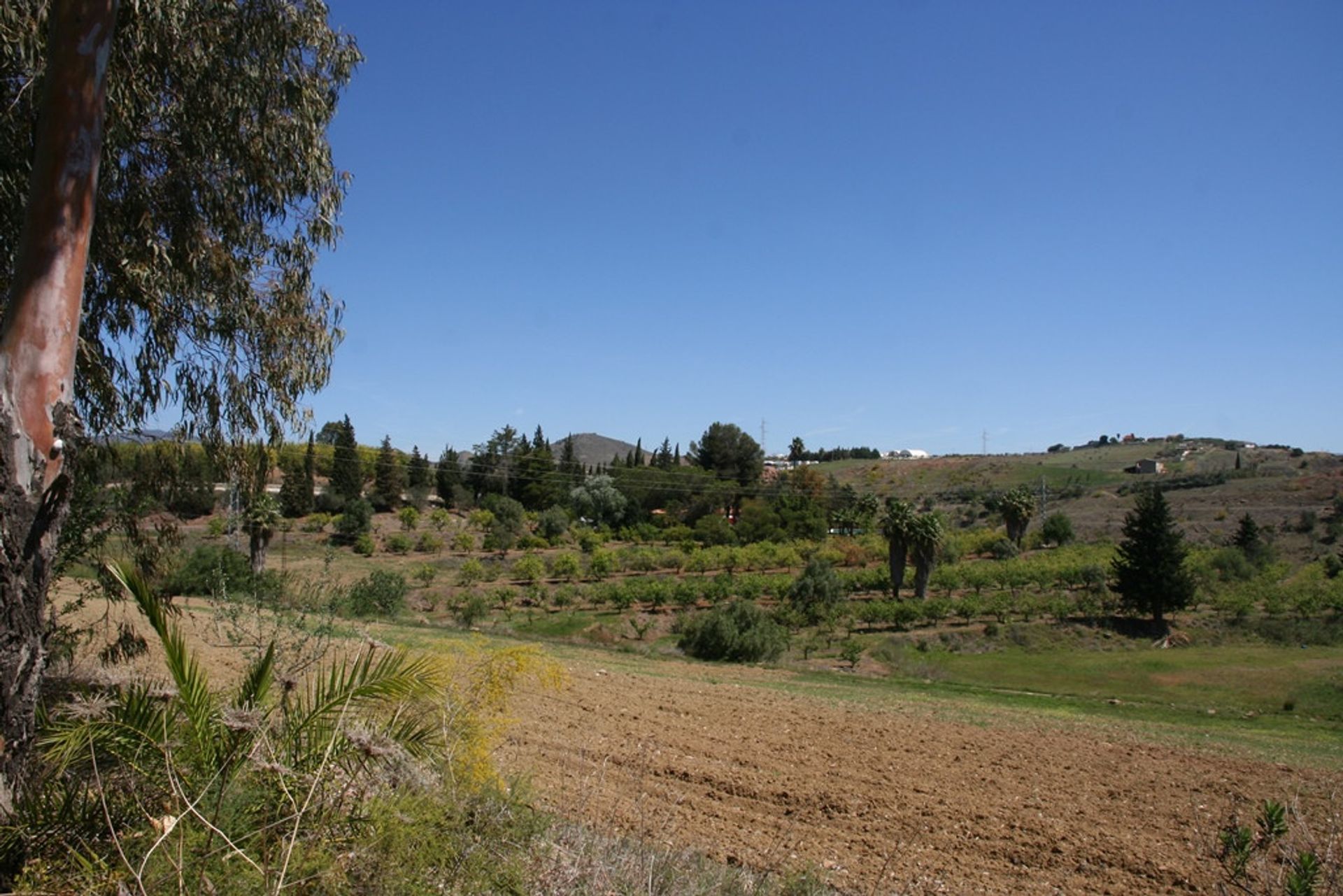 loger dans Cártama, Andalusia 12137439