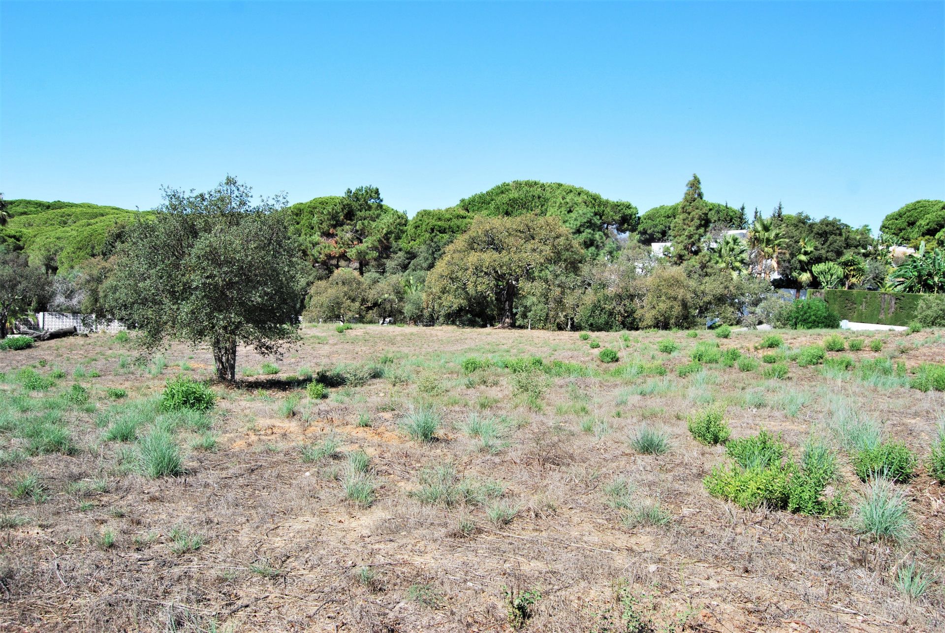 Land im , Andalucía 12137452