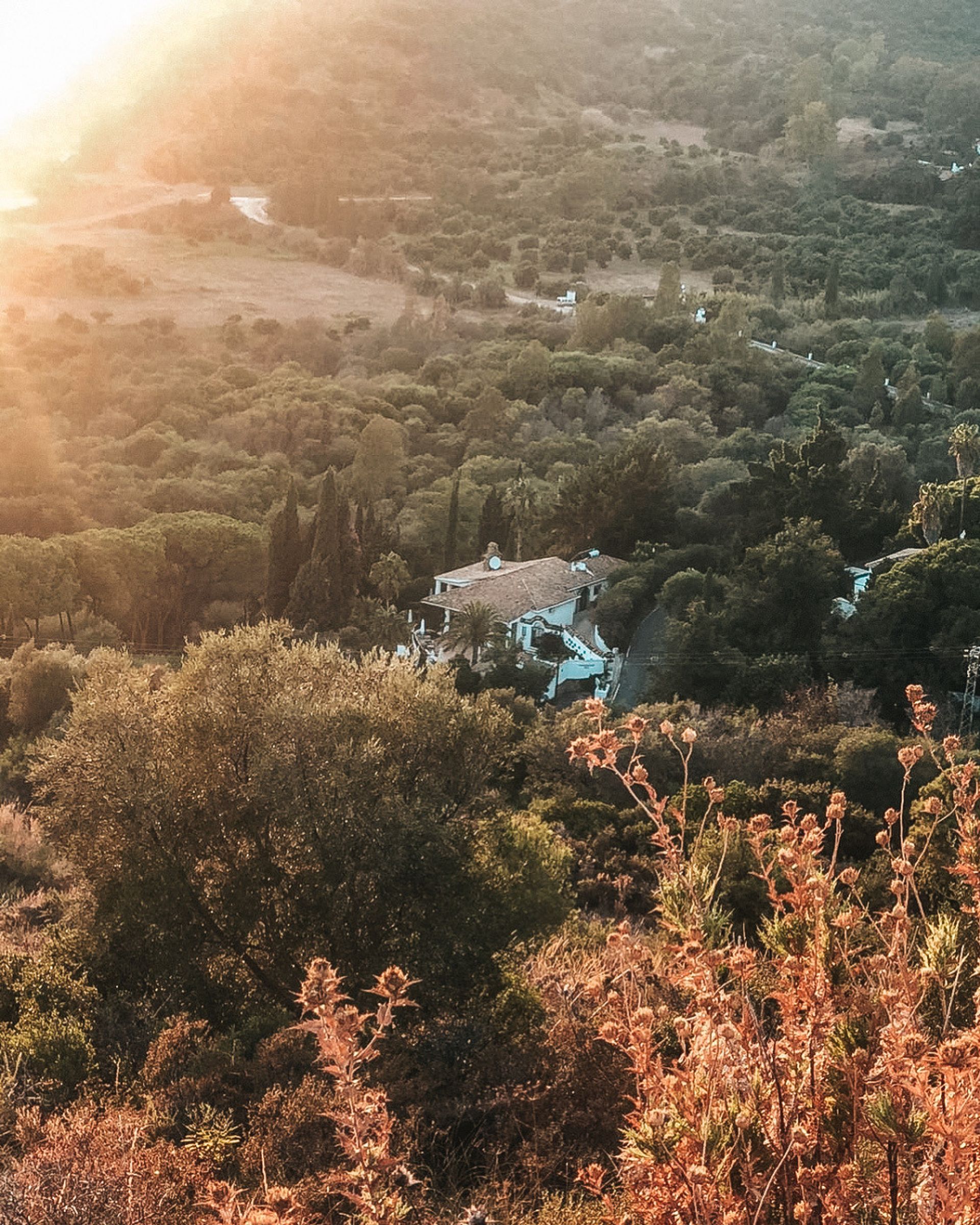 Λιανεμποριο σε Istán, Andalucía 12137527