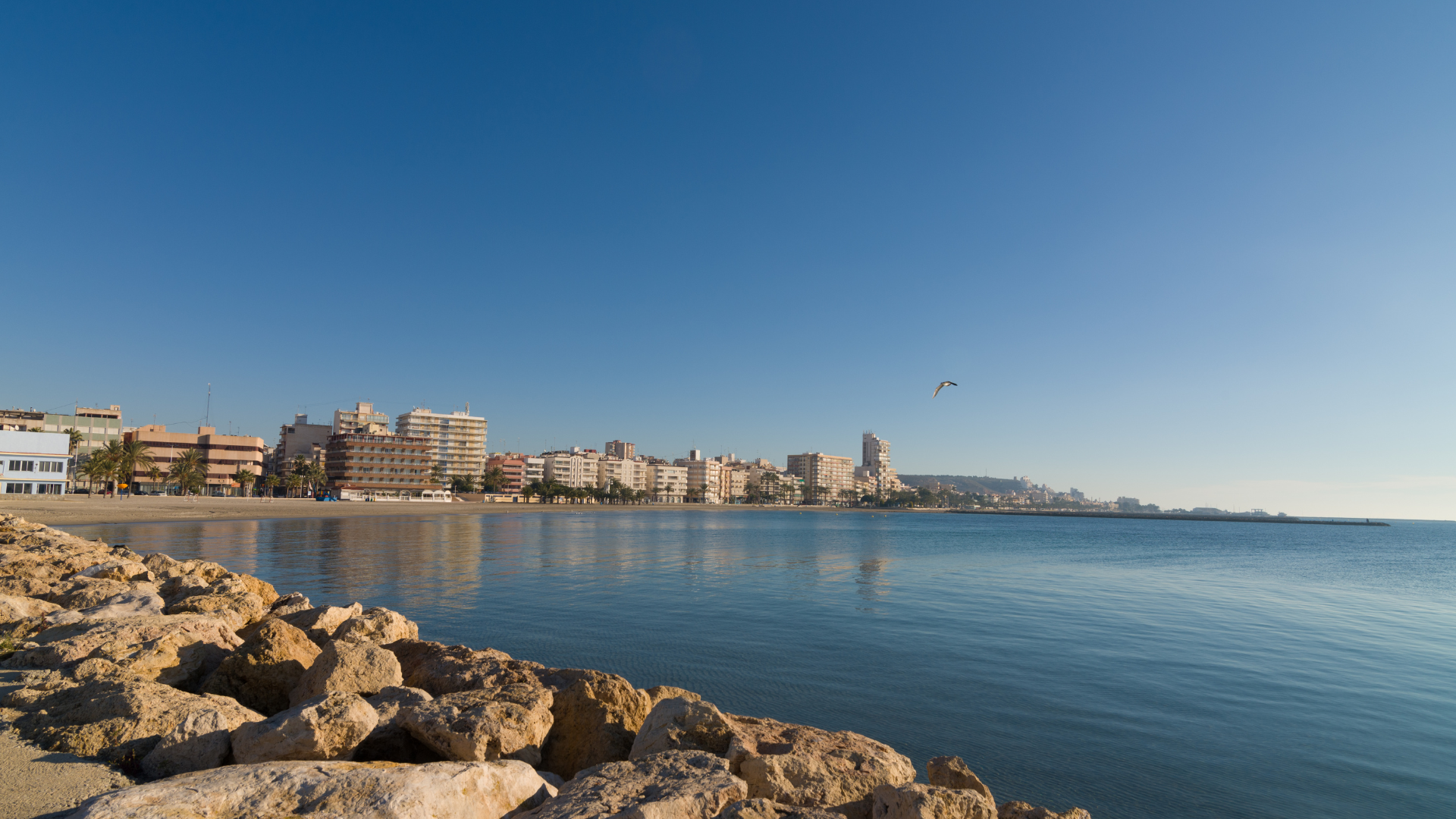 Hus i Torrevieja, Comunidad Valenciana 12137992