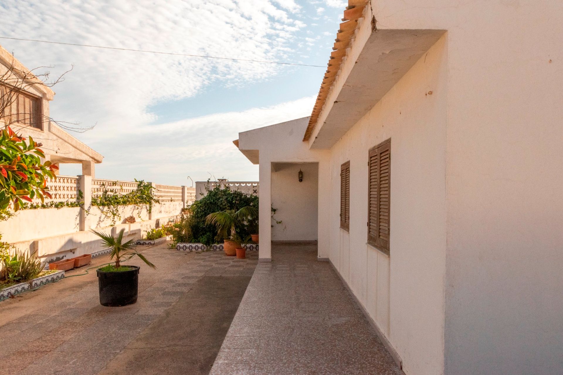 House in Guardamar del Segura, Valencia 12138957