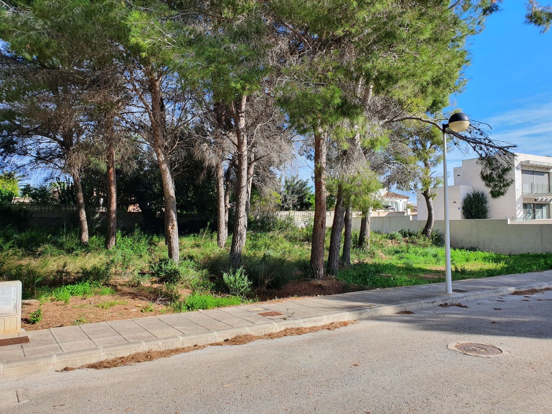 Land i Teulada, Valencia 12139605