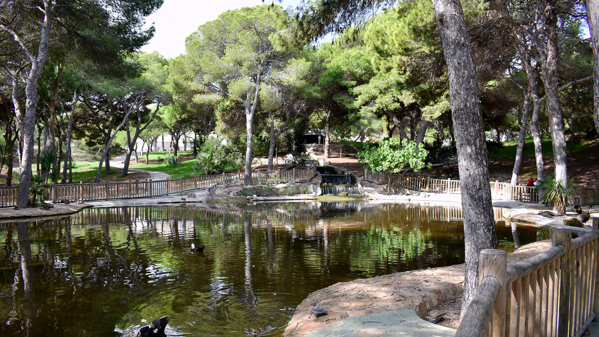 Tanah dalam Guardamar del Segura, Valencia 12139699