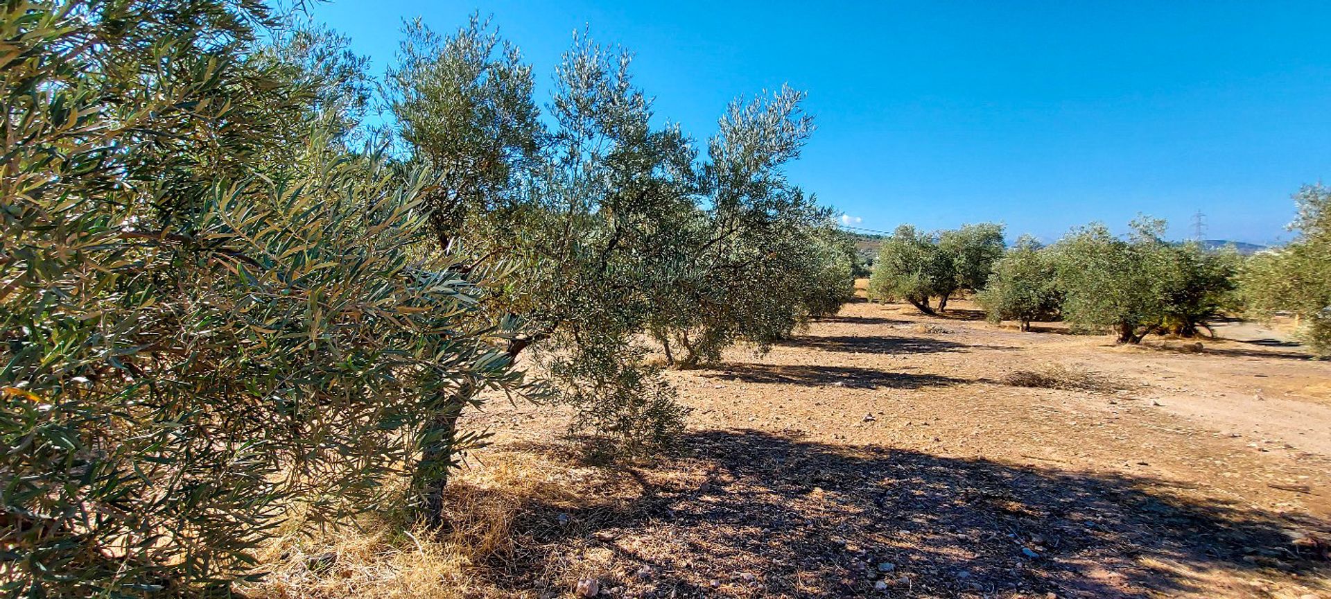 rumah dalam Archidona, Andalusia 12139963