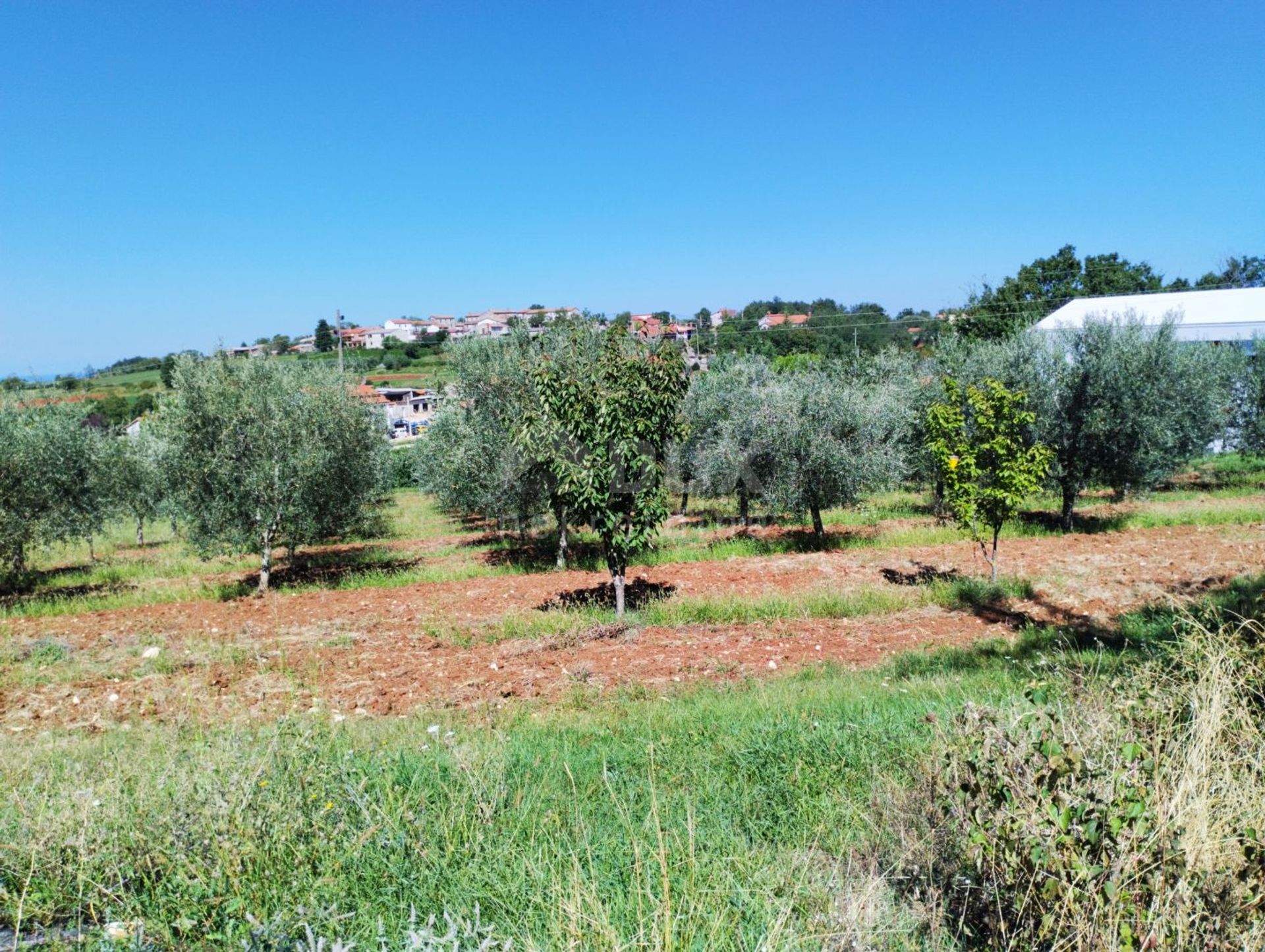 Tanah di Vizinada, Istarska Zupanija 12140020