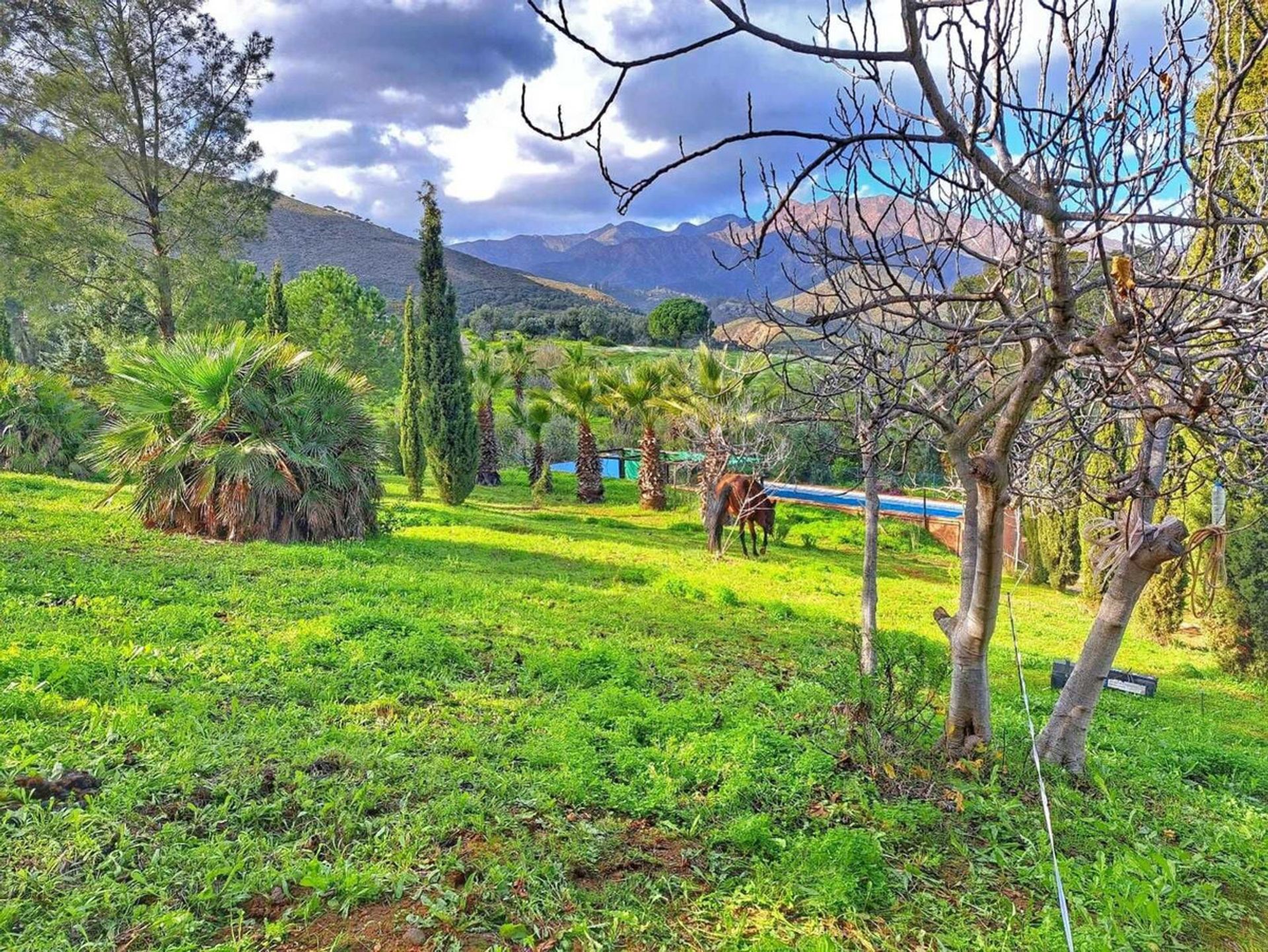 House in Entrerríos, Extremadura 12143337