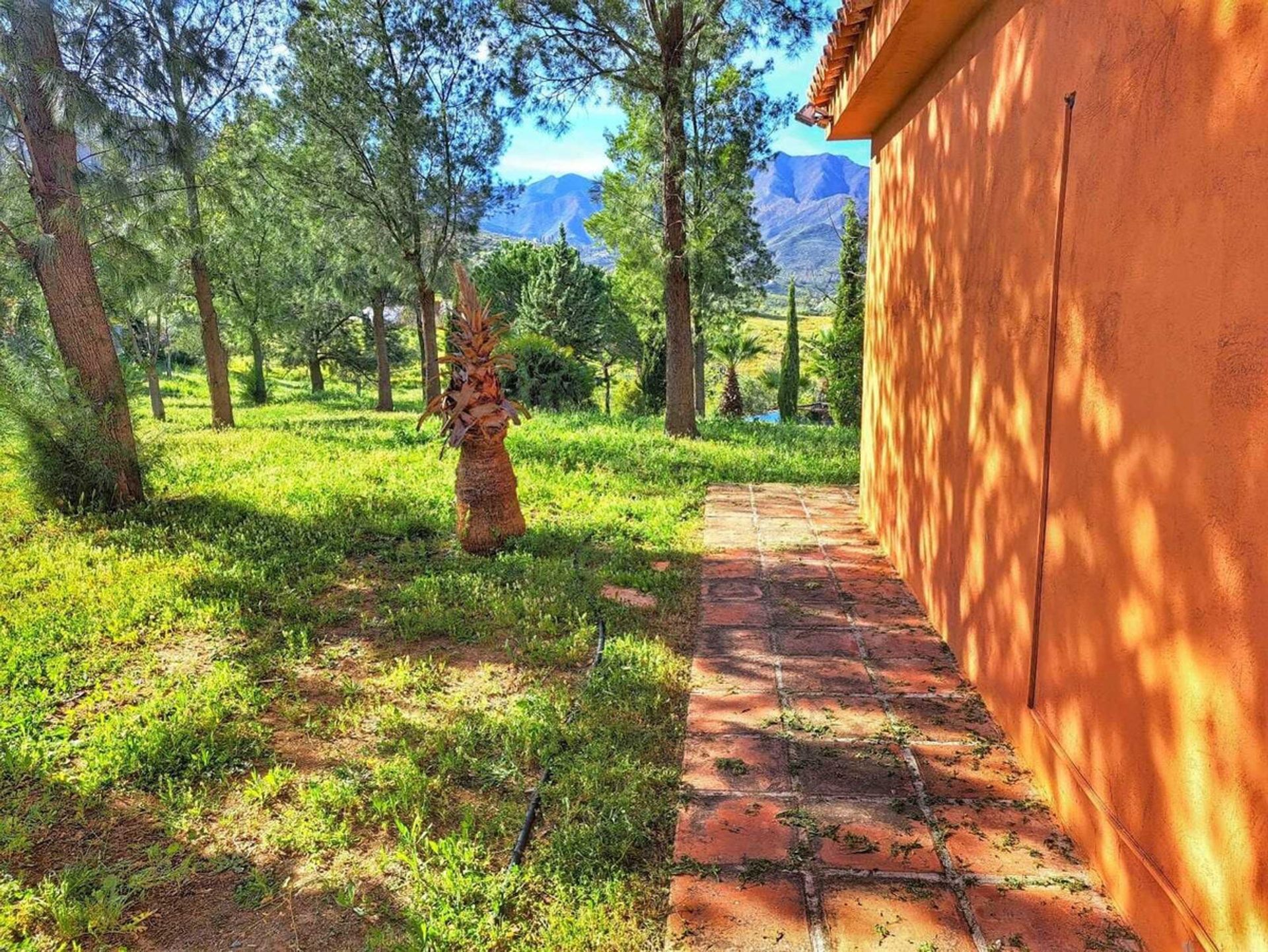 House in Entrerríos, Extremadura 12143337