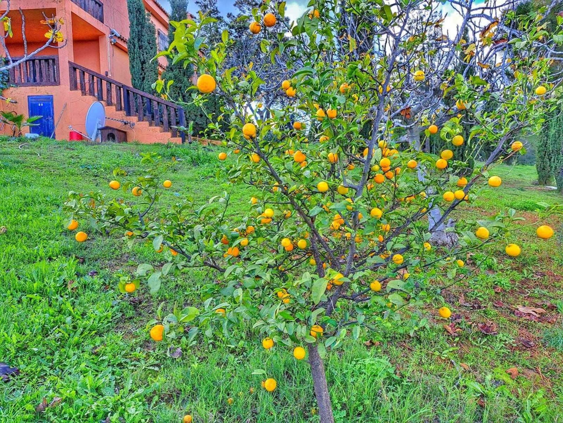 House in Entrerríos, Extremadura 12143337