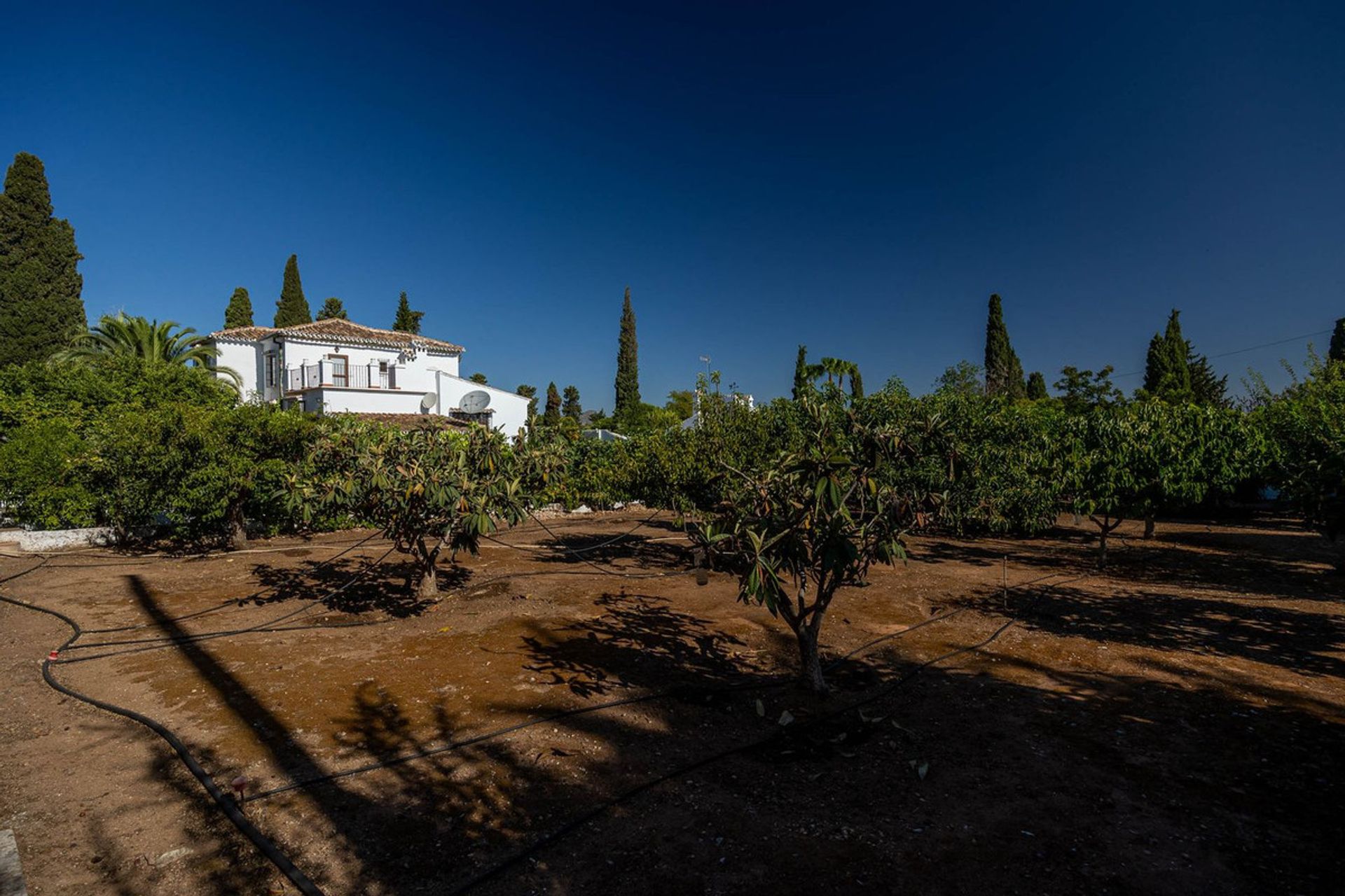 Haus im Alhaurin de la Torre, Andalusien 12143376