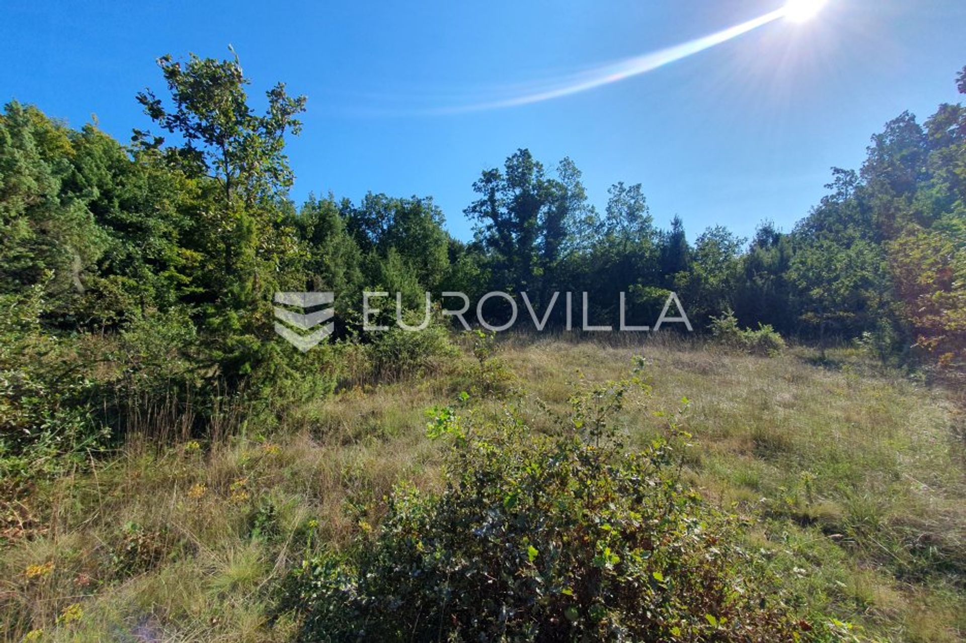 Land in Sveti Lovrec Pazenaticki, Istarska Zupanija 12144585