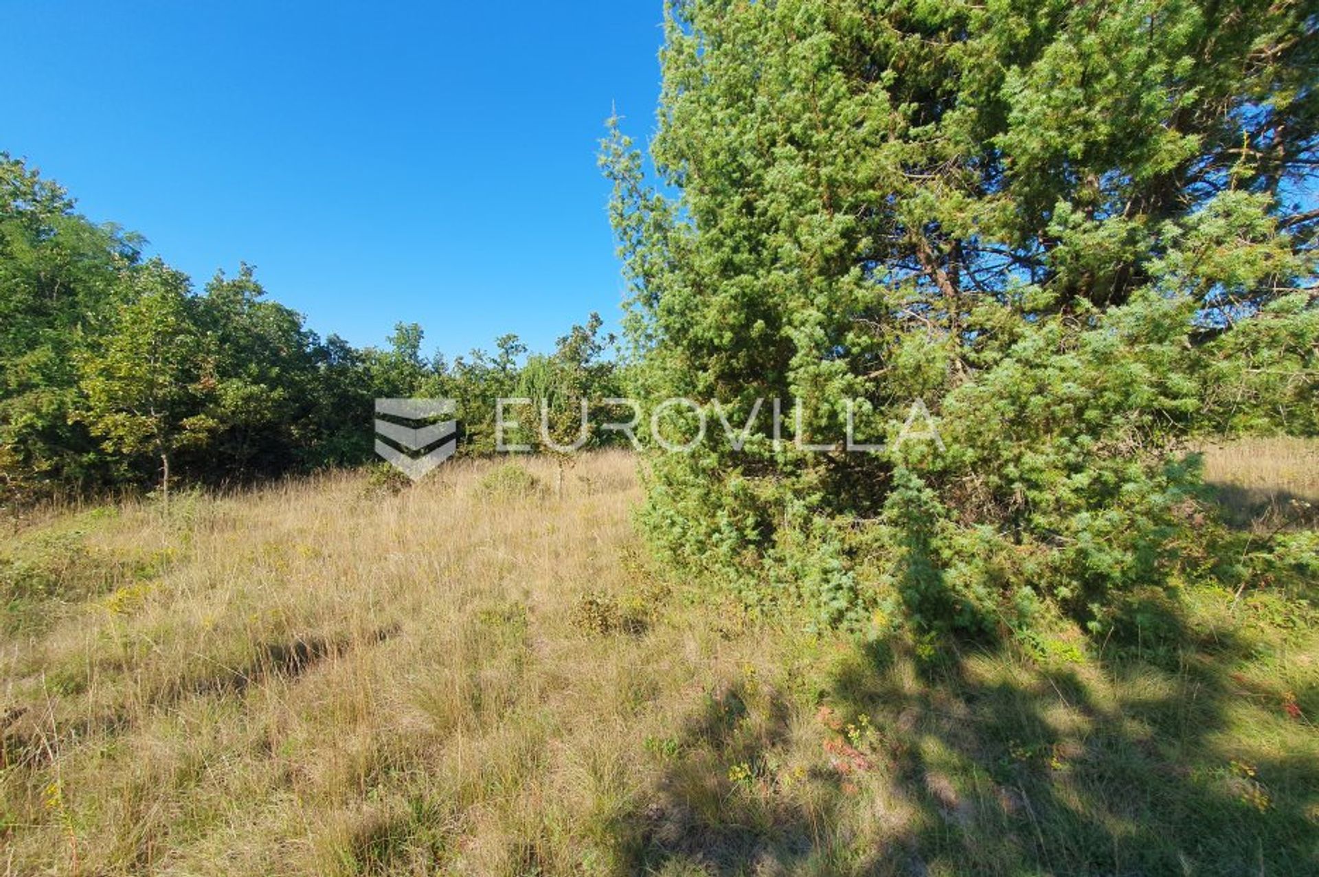 Land in Sveti Lovrec Pazenaticki, Istarska Zupanija 12144585