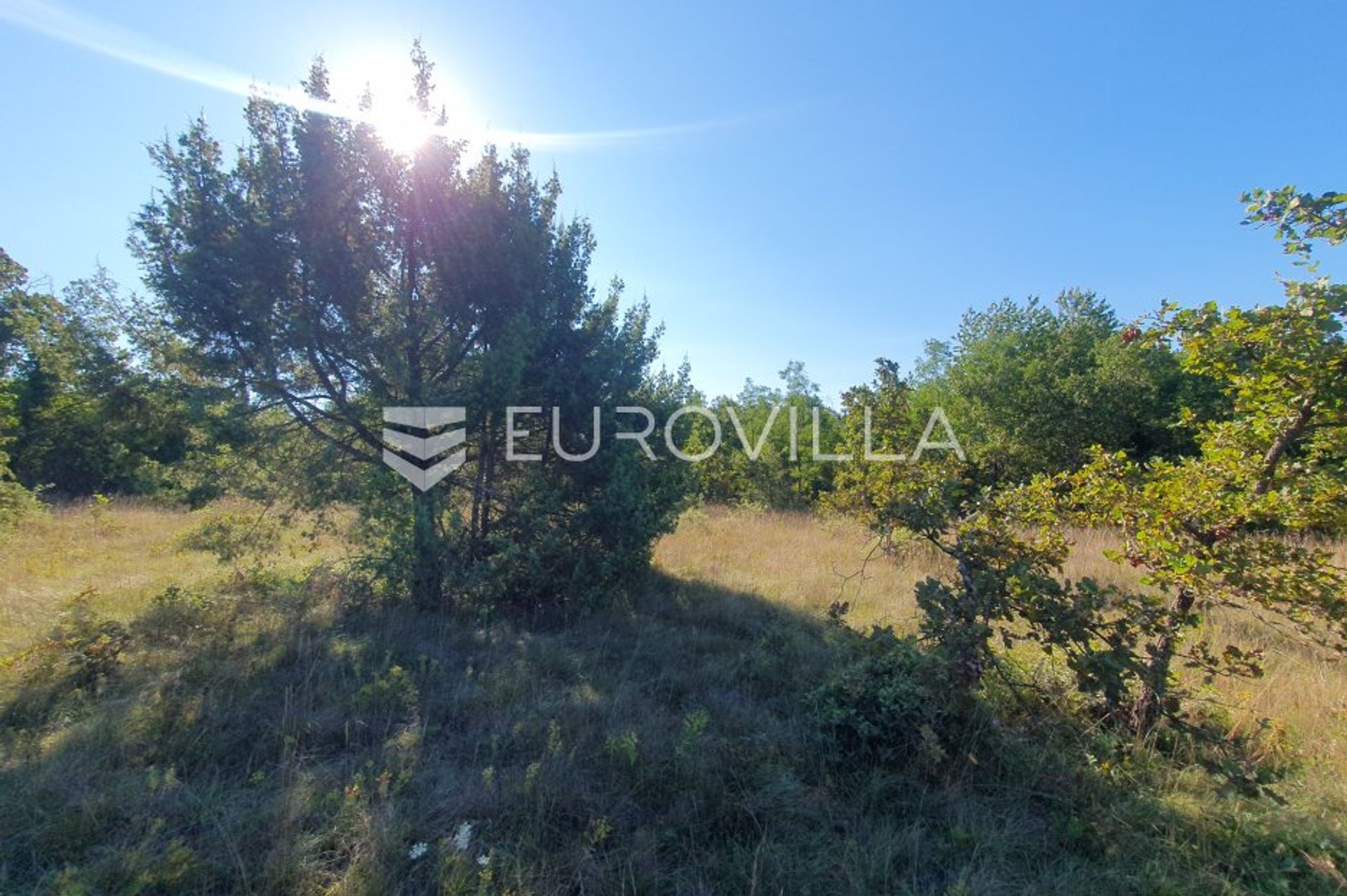 Land in Sveti Lovrec Pazenaticki, Istarska Zupanija 12144585