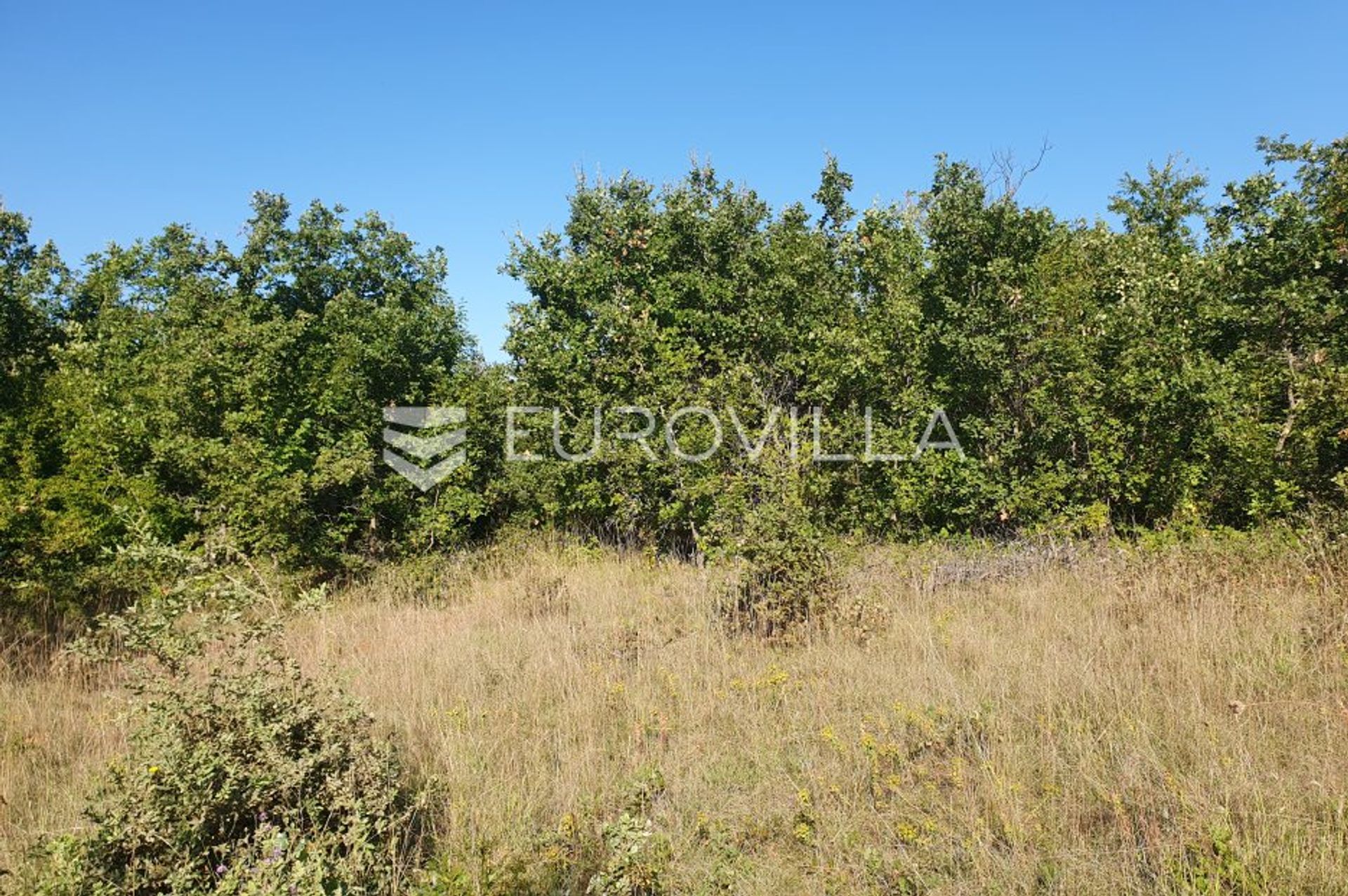 Land in Sveti Lovrec Pazenaticki, Istarska Zupanija 12144585