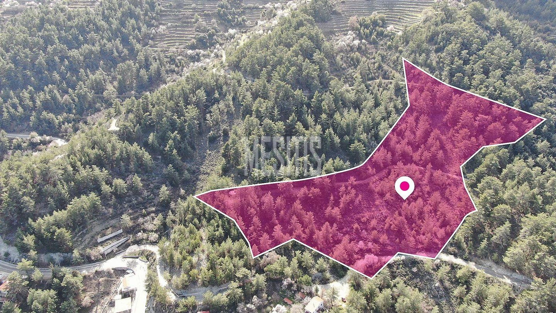 Land in Palodeia, Lemesos 12146160